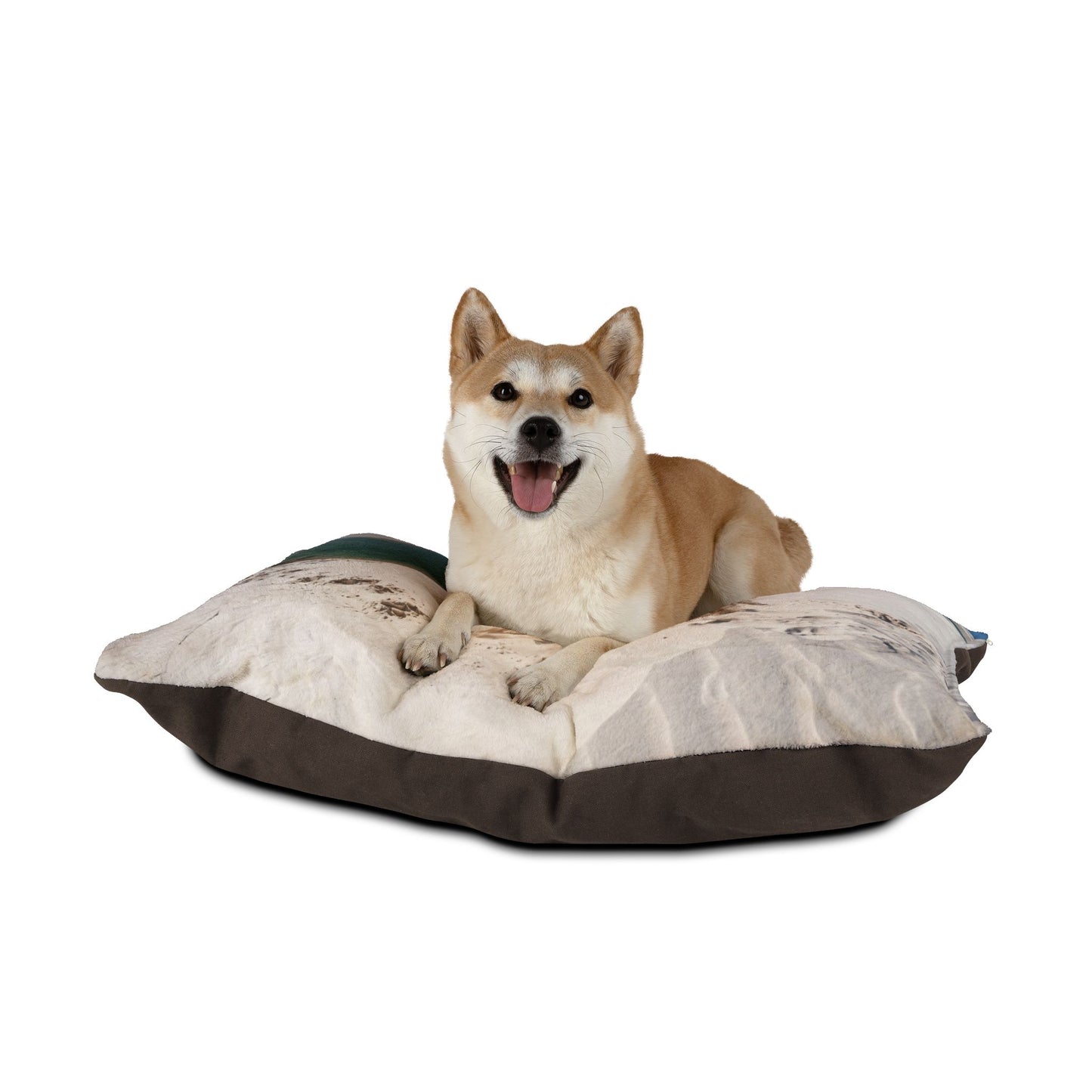 Brazilian Terrier Pet Bed