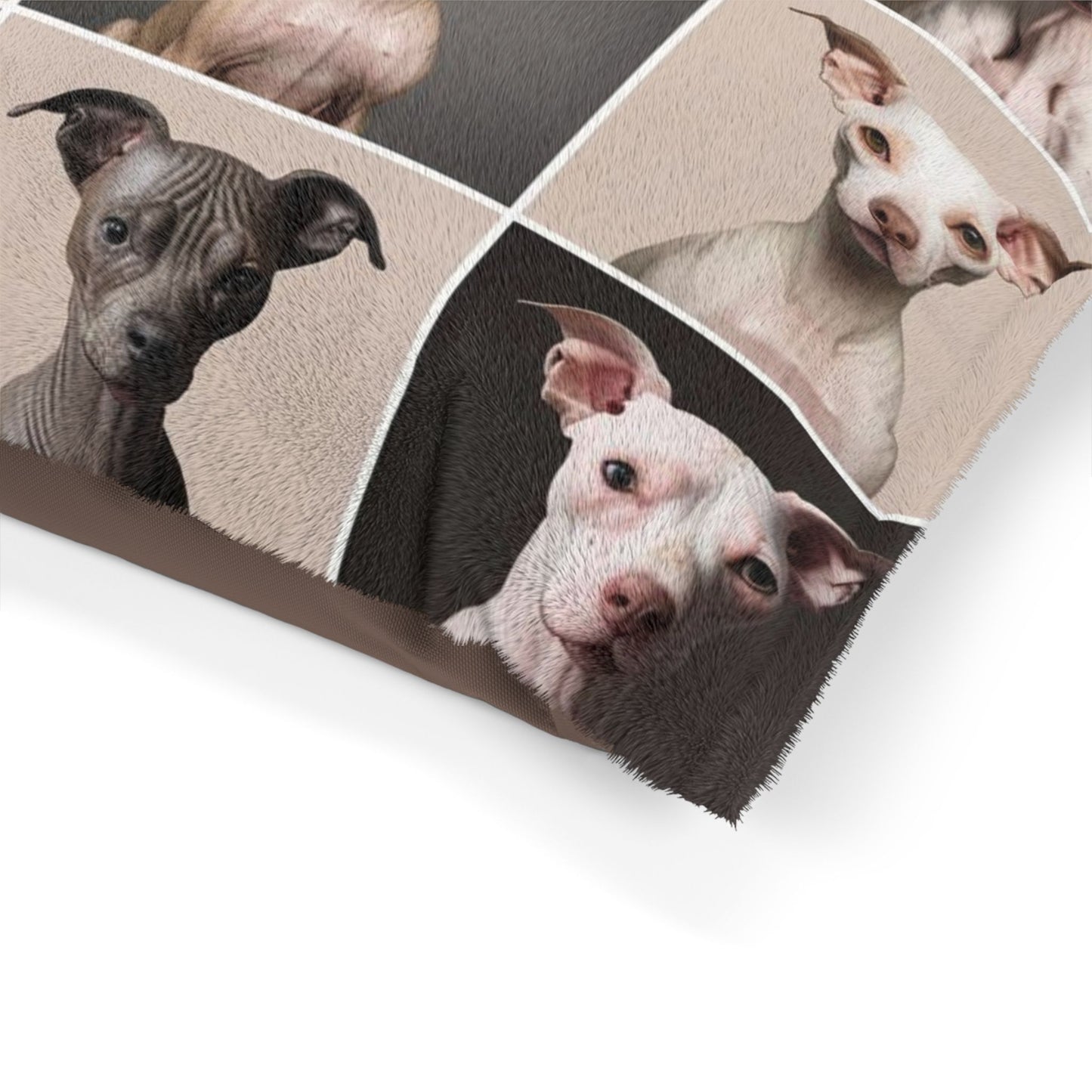 Hairless Dogs Pet Bed