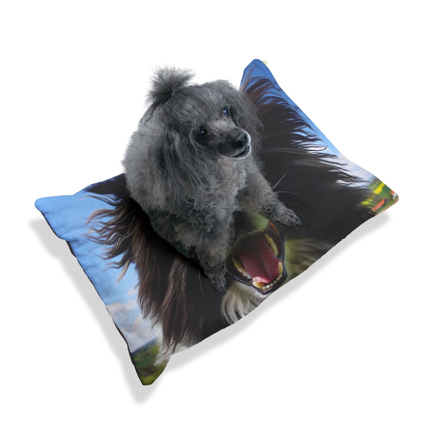 Portuguese Sheepdog Pet Bed