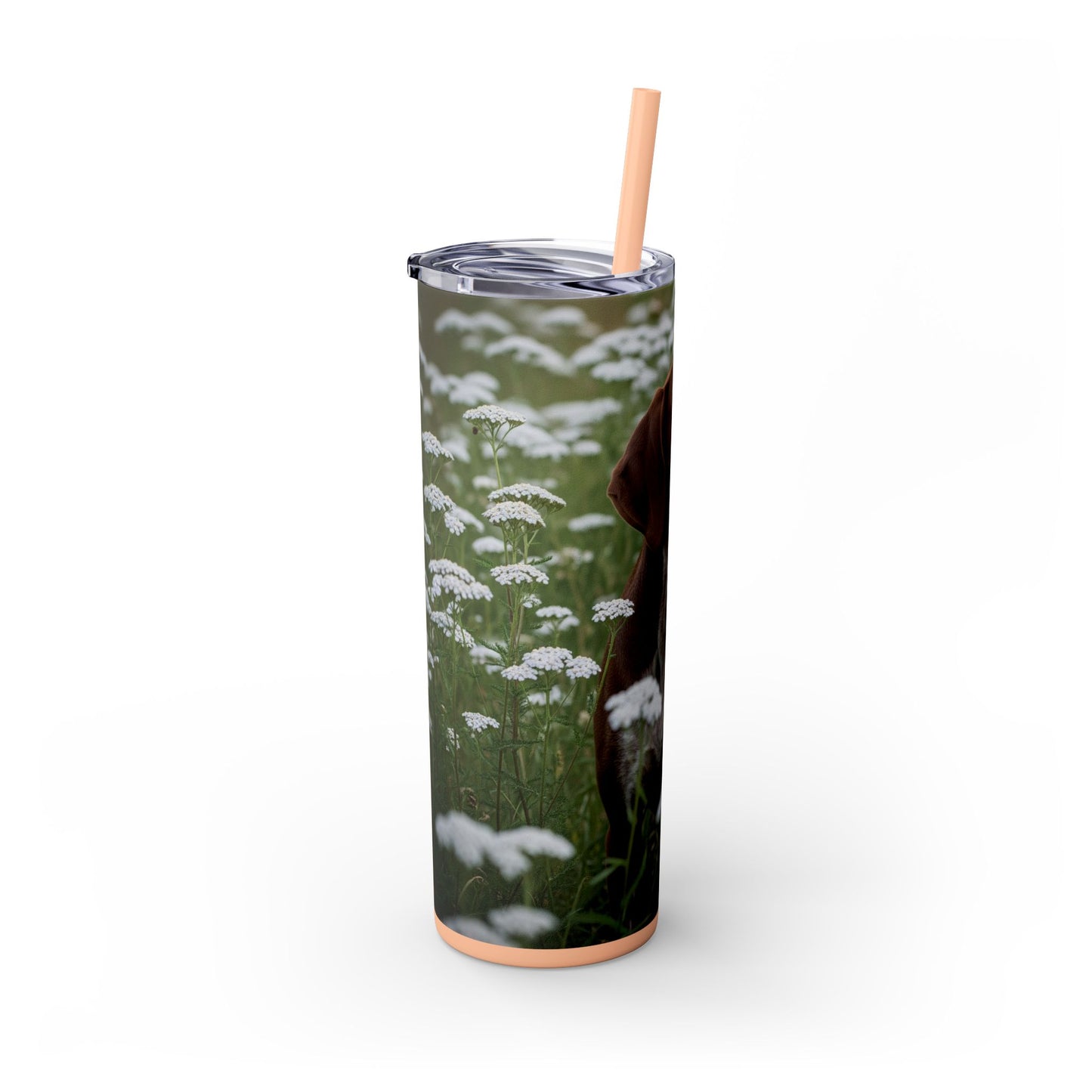 Braque du Bourbonnais Tumbler with Straw, 20oz