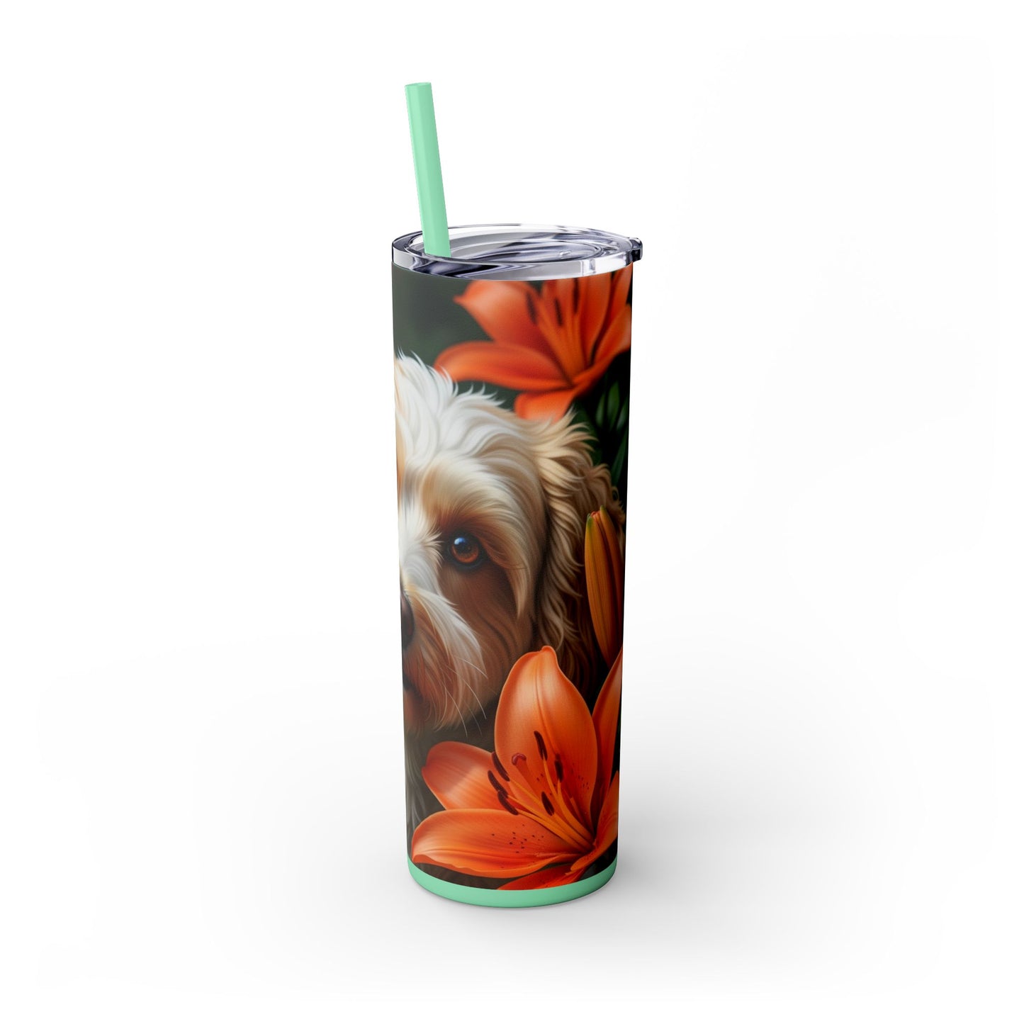 Schnoodle Skinny Tumbler with Straw, 20oz