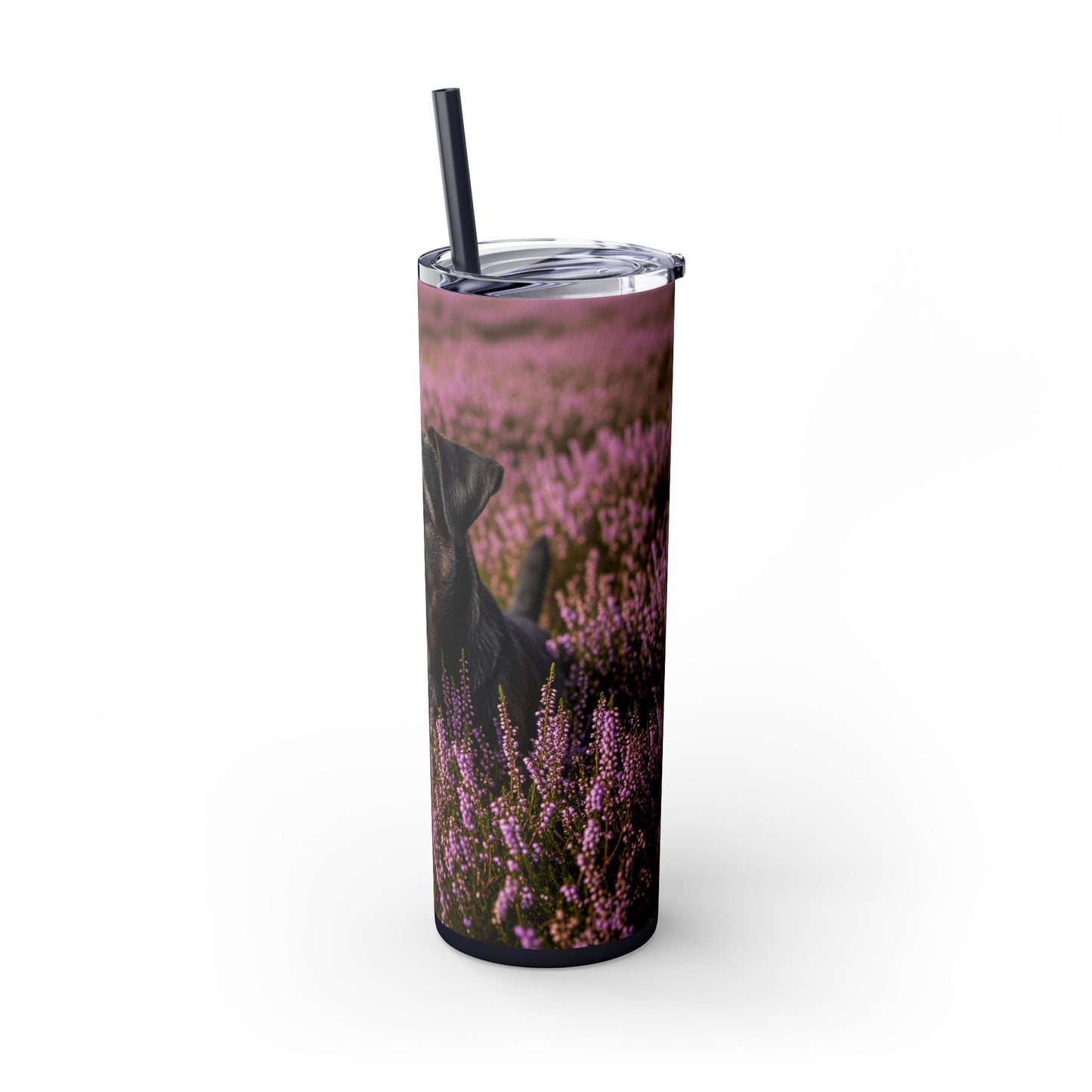 Glen of Imaal Terrier Skinny Tumbler with Straw, 20oz