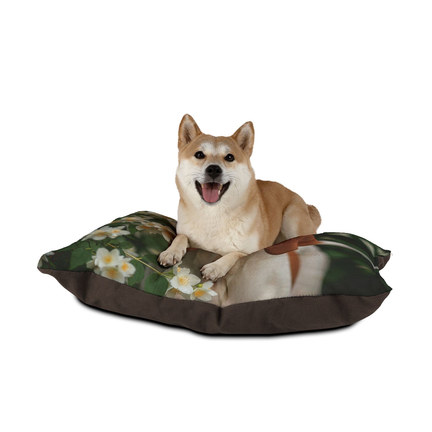 Bracco Italiano Pet Bed