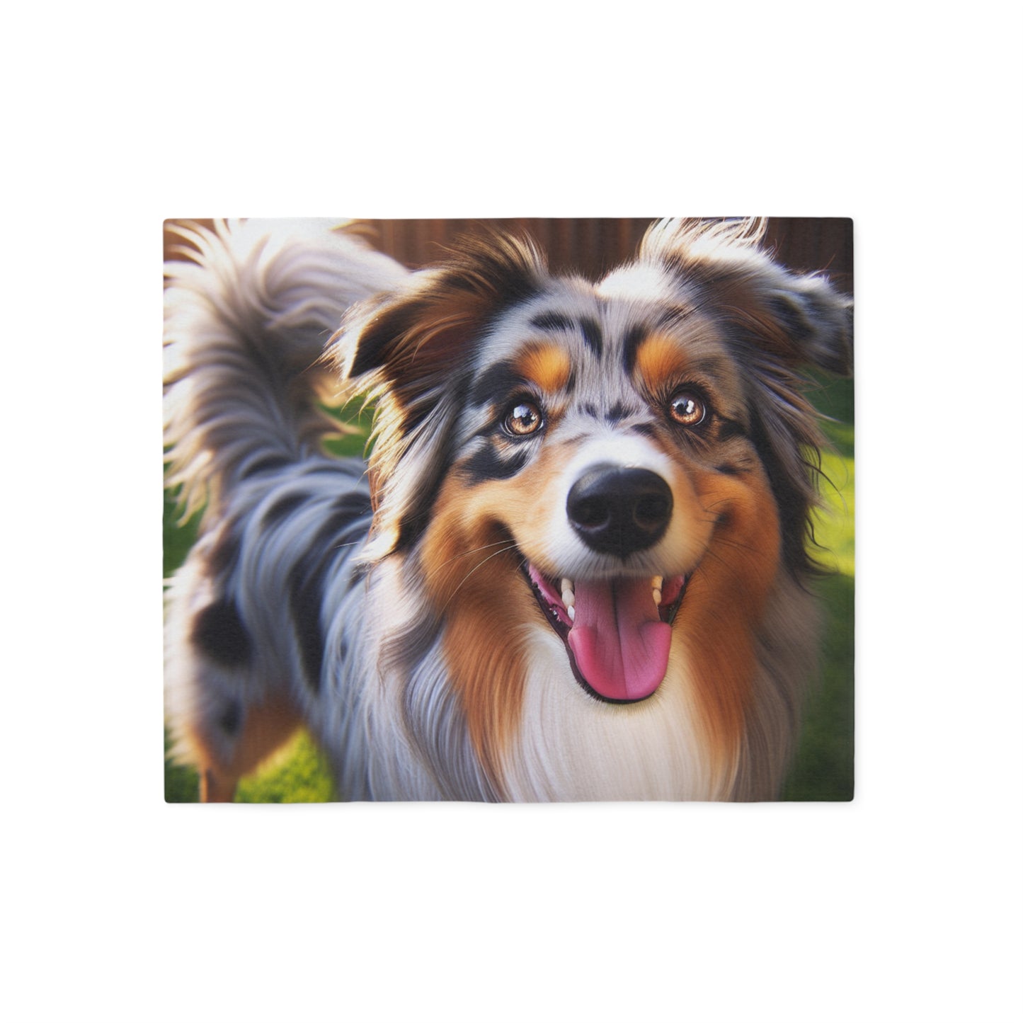 Australian Shepherd Sweatshirt Blanket