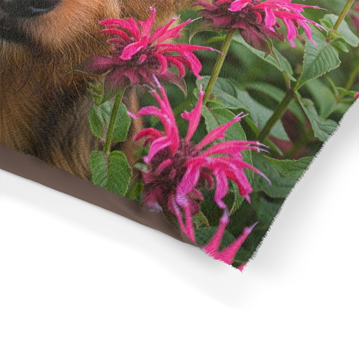 Norwich Terrier Pet Bed
