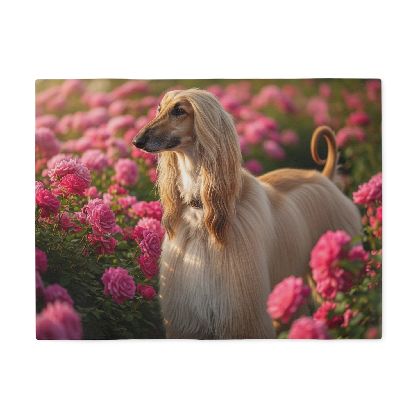 Afghan Hound Sweatshirt Blanket