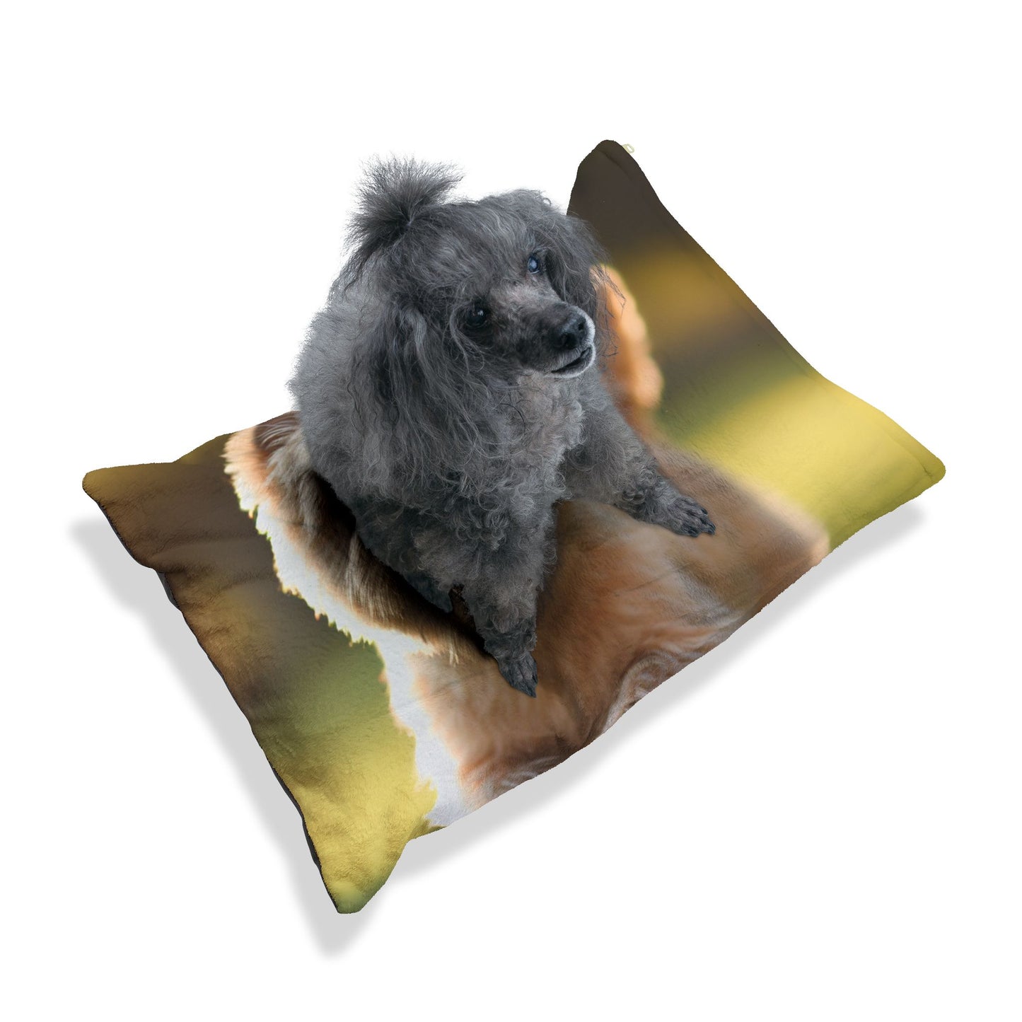 Cairn Terrier Pet Bed
