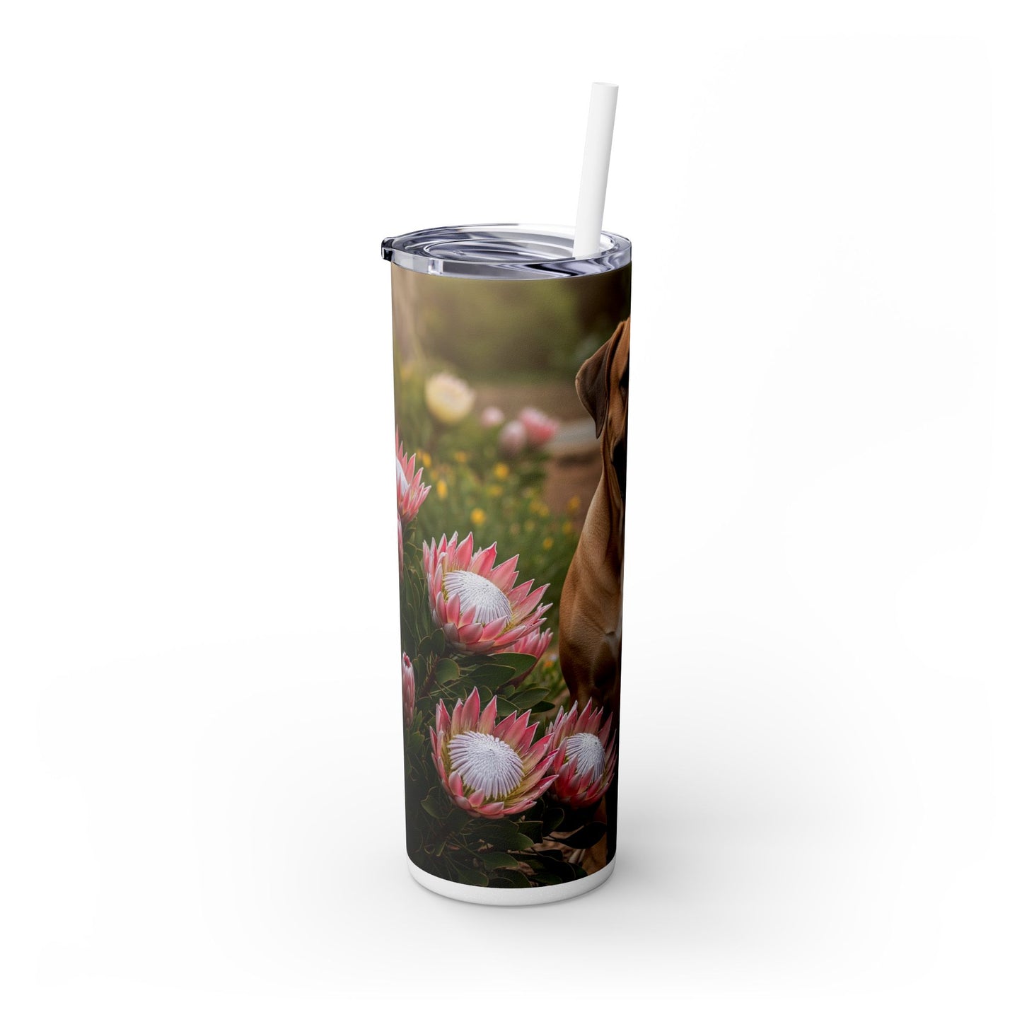 Boerboels Tumbler with Straw, 20oz