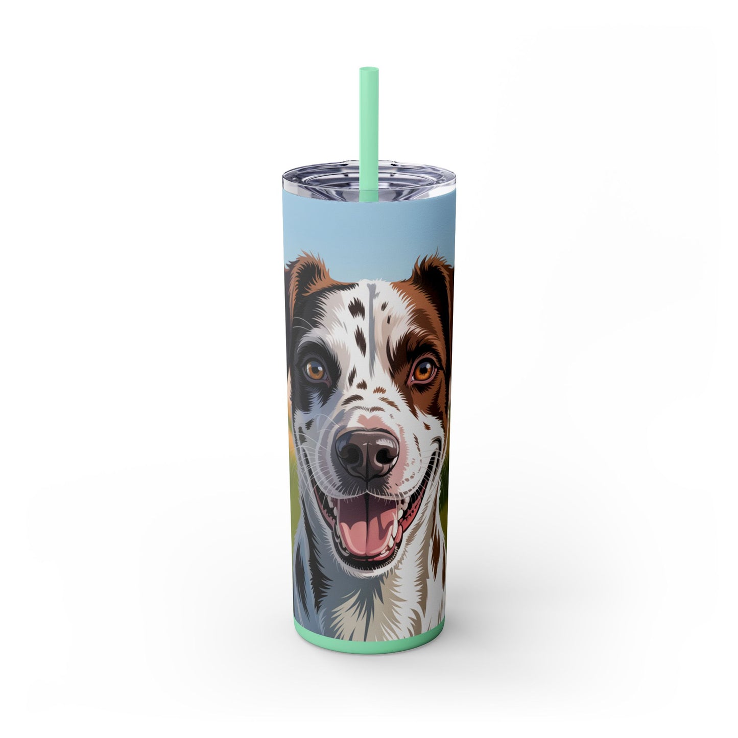 Telomian Skinny Tumbler with Straw, 20oz