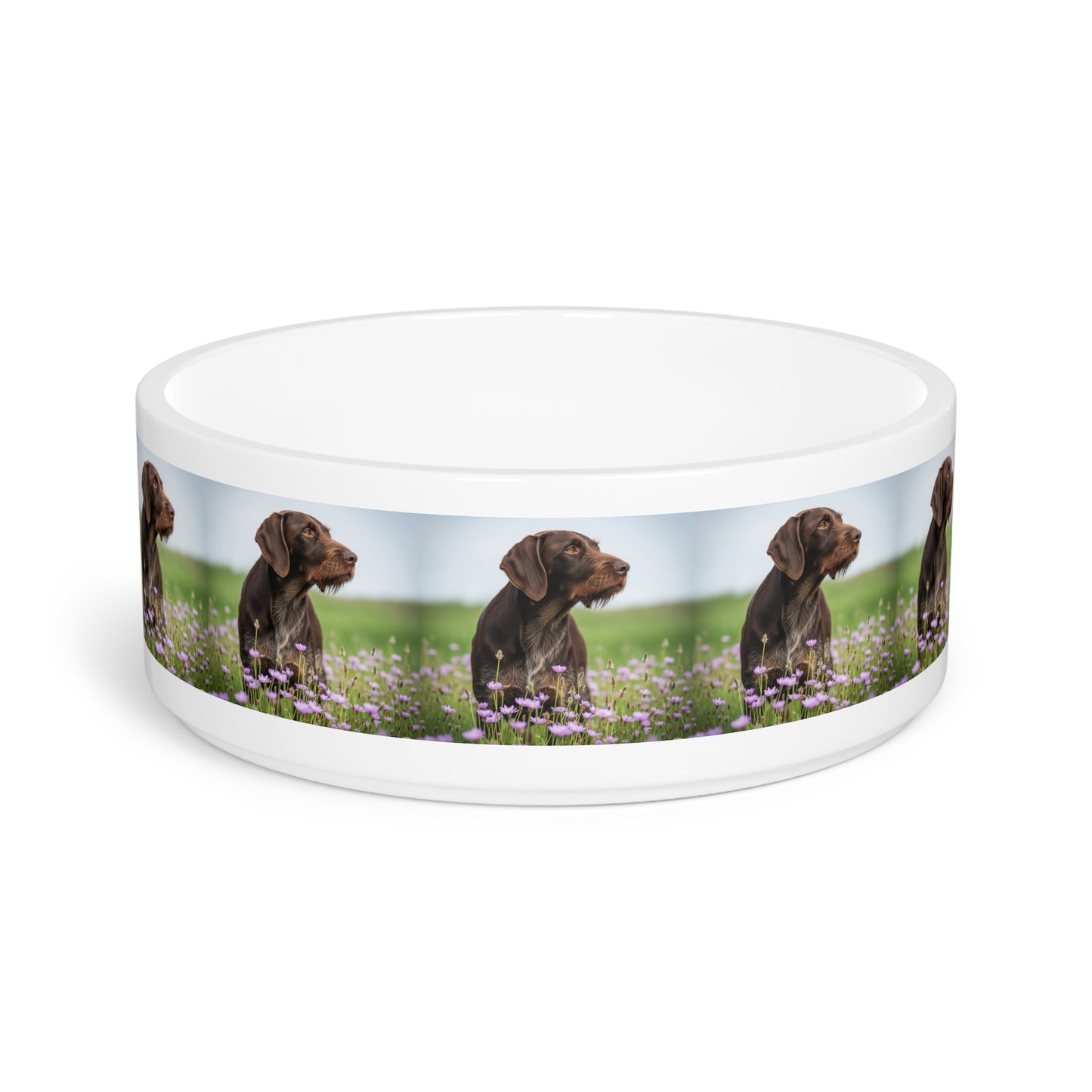 German Wirehaired Pointer Pet Bowl