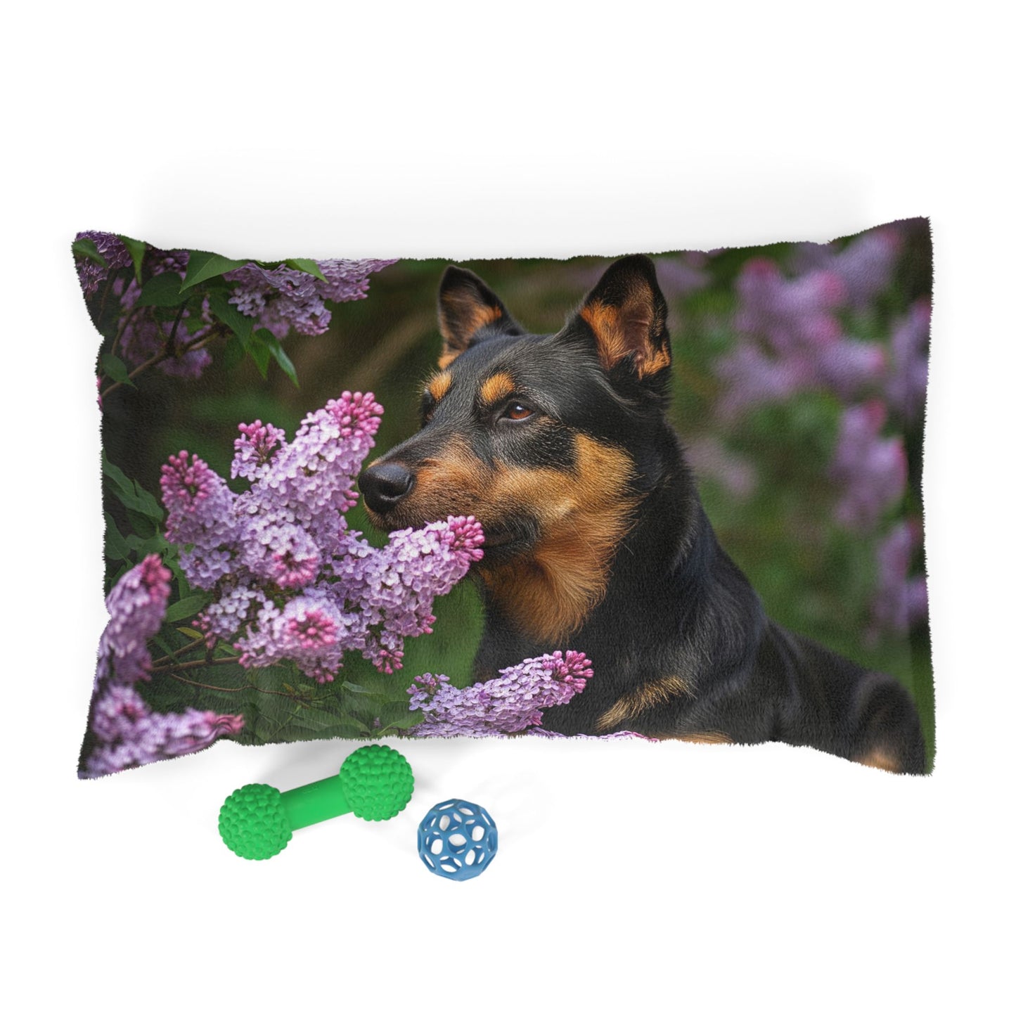 Mudi Pet Bed