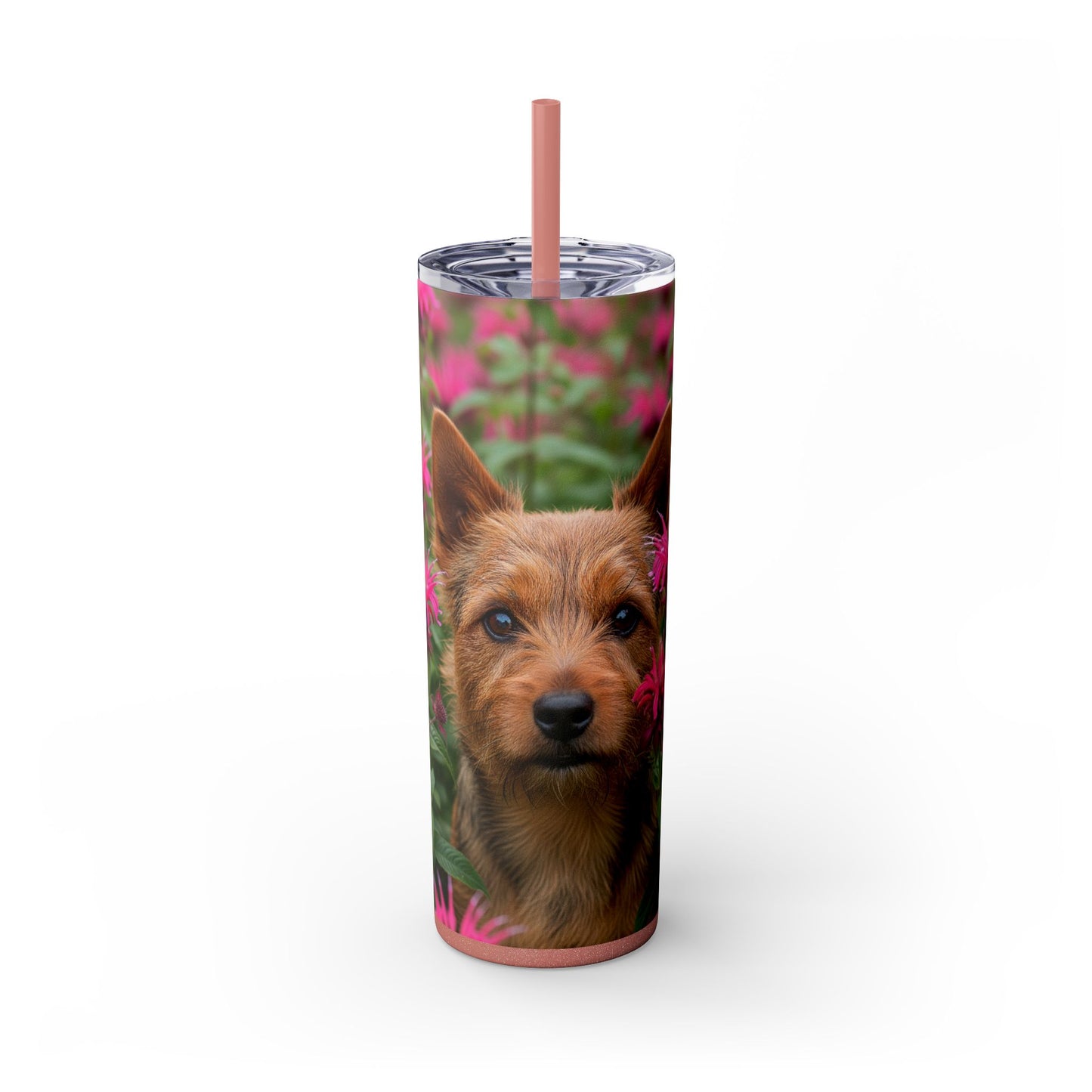 Norwich Terrier Skinny Tumbler with Straw, 20oz