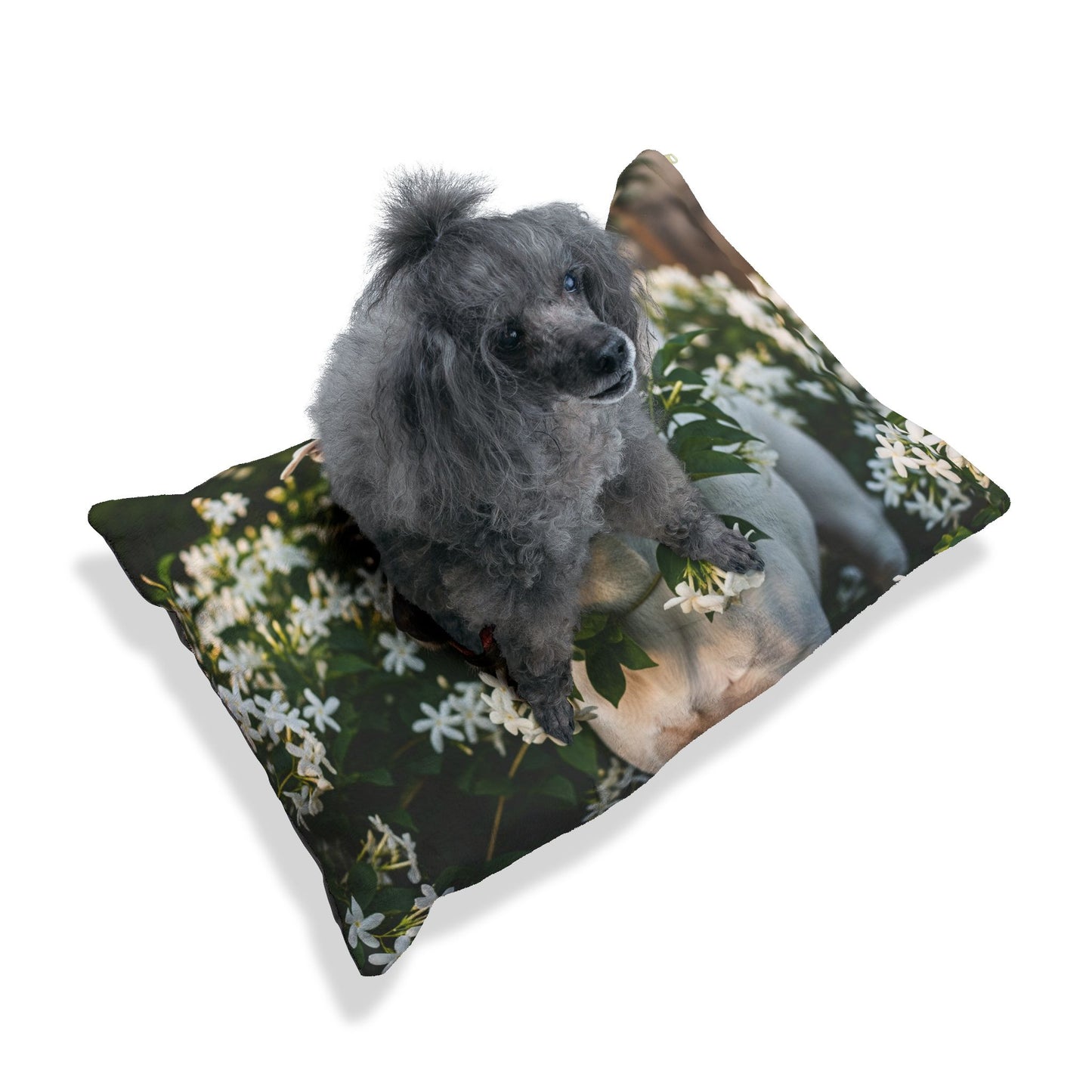 Gull Terrier Pet Bed
