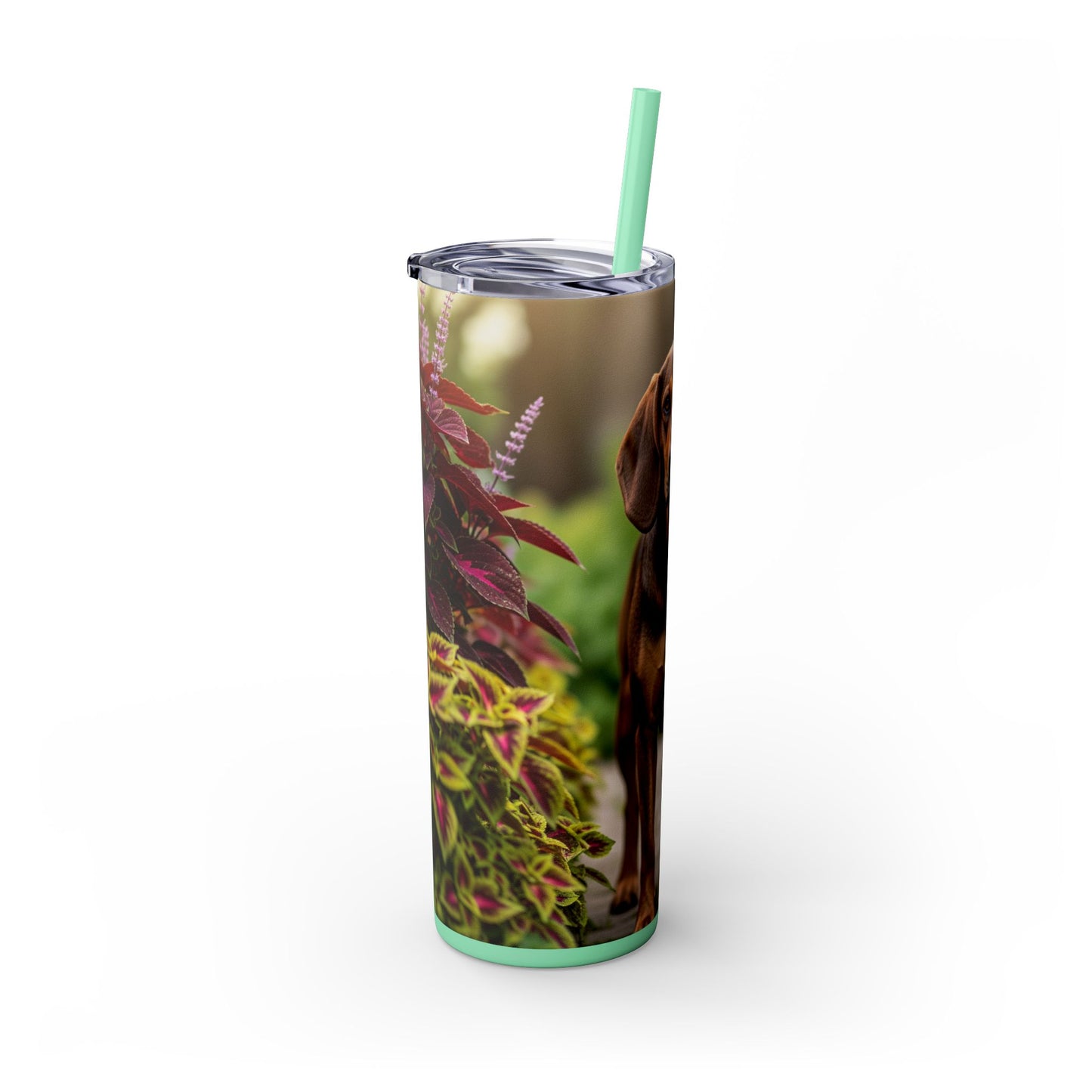 Hamiltonstovare Tumbler with Straw, 20oz
