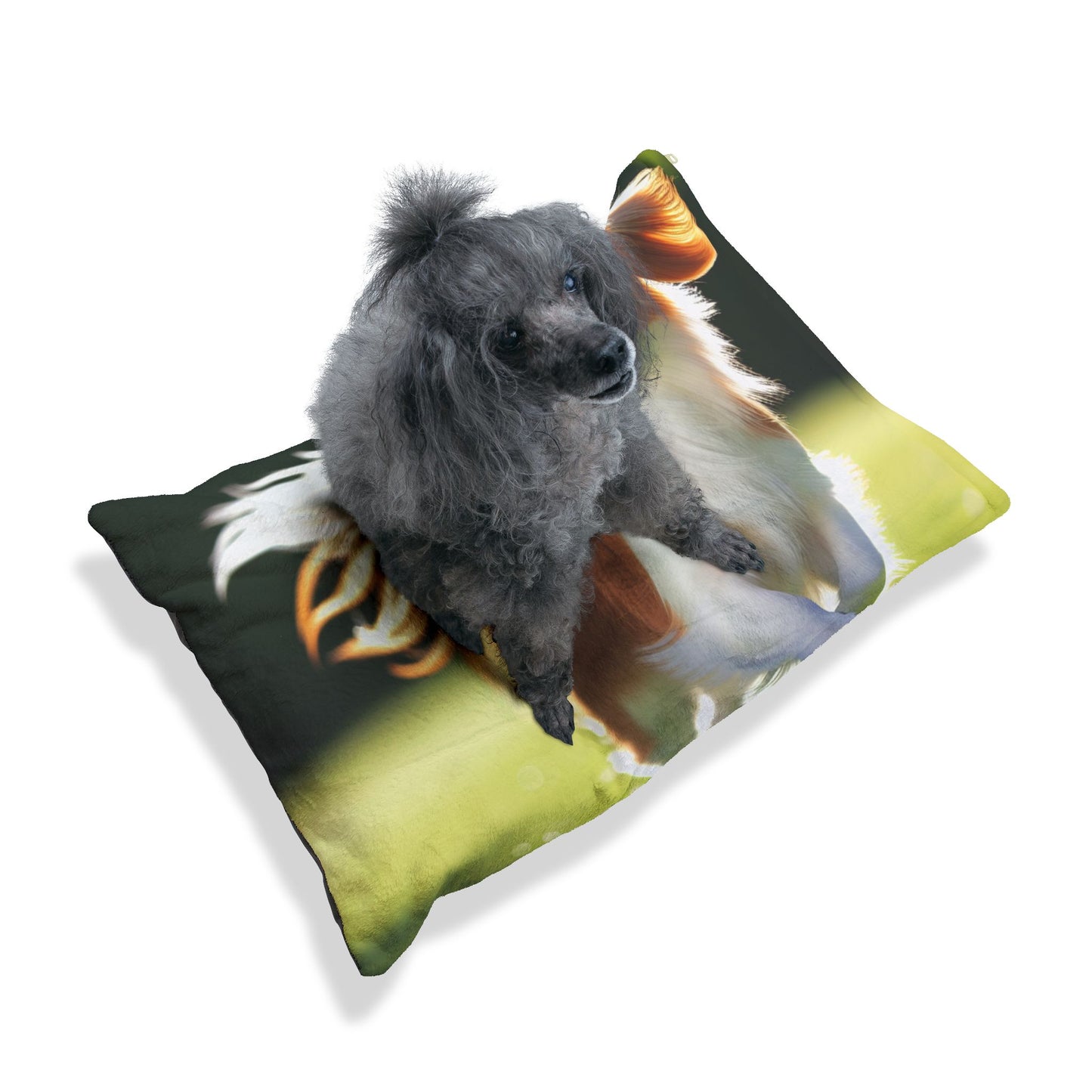 Nederlandse Kooikerhondje Pet Bed
