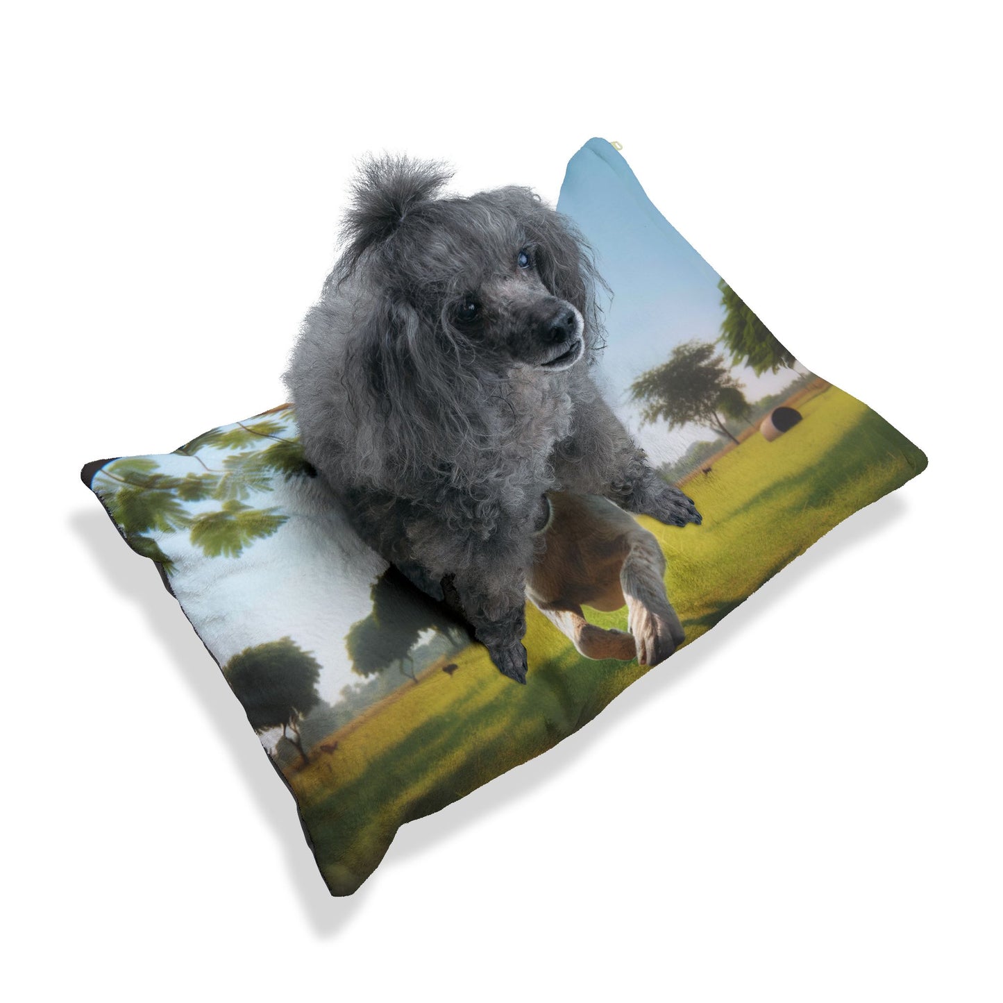 Indian Pariah Dog Pet Bed