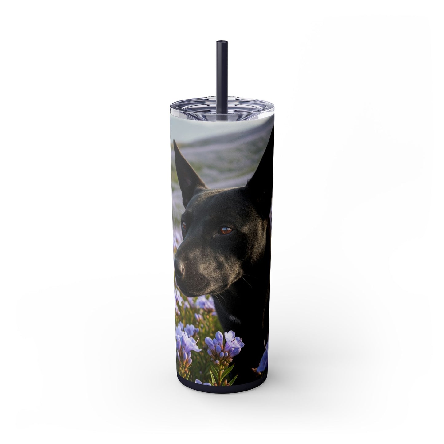 Kanni Tumbler with Straw, 20oz
