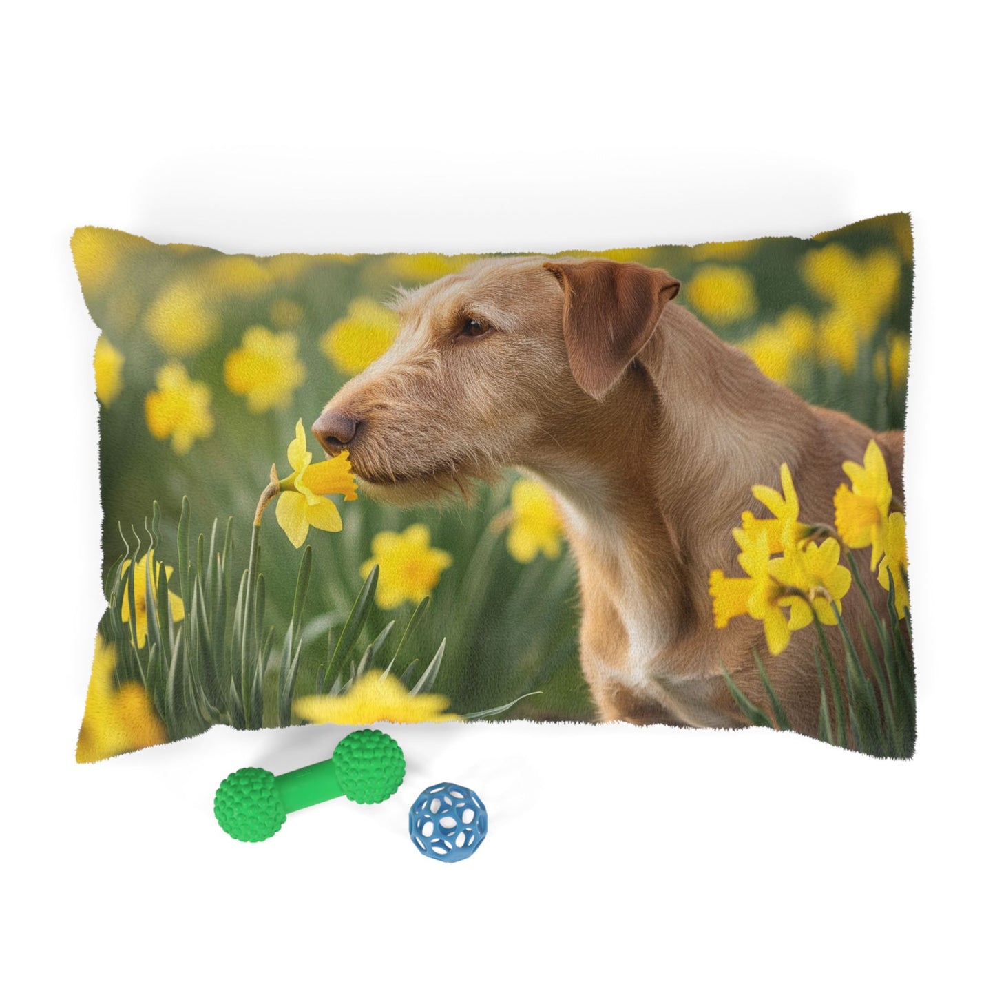 Portuguese Podengo Pequeno Pet Bed