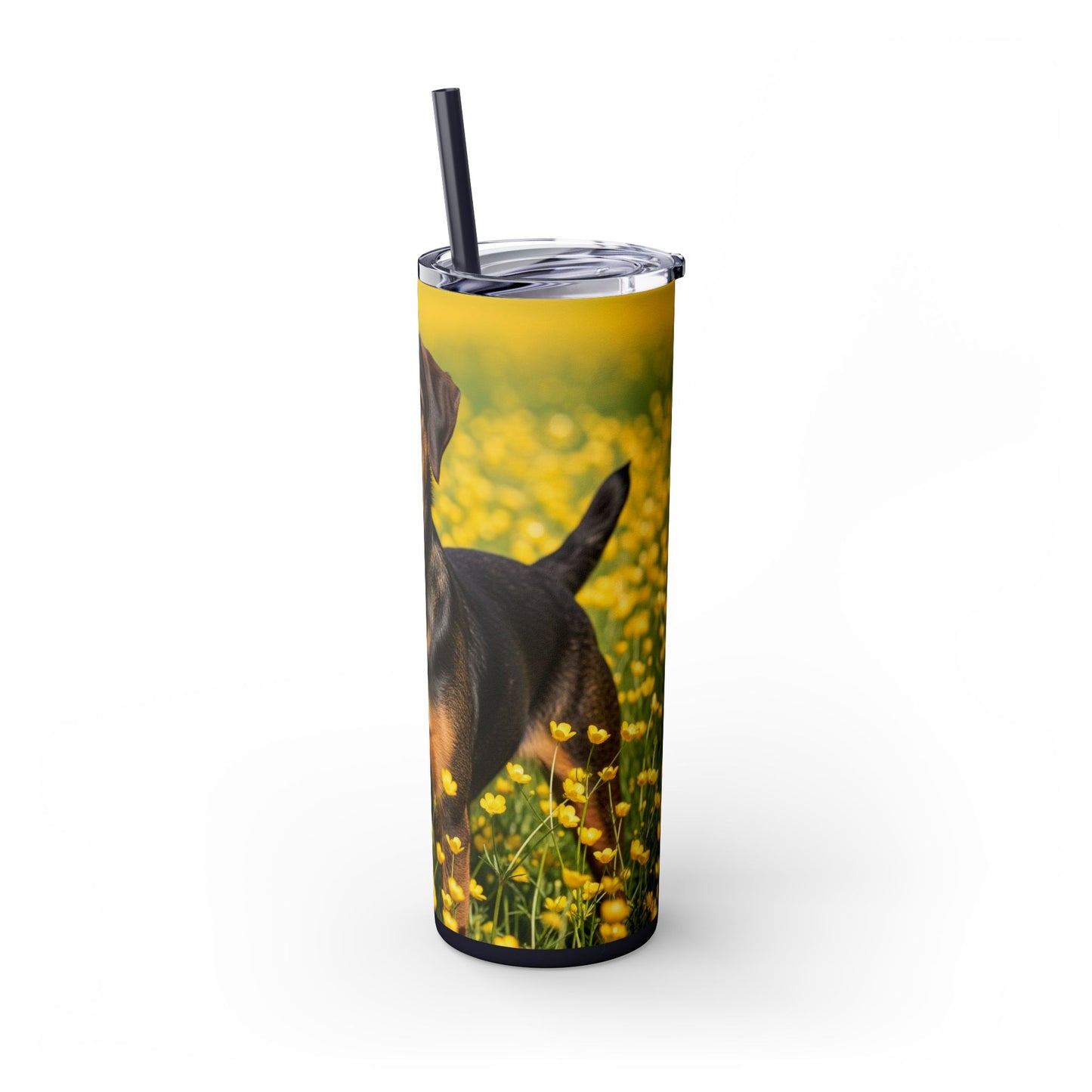 Drever Tumbler with Straw, 20oz