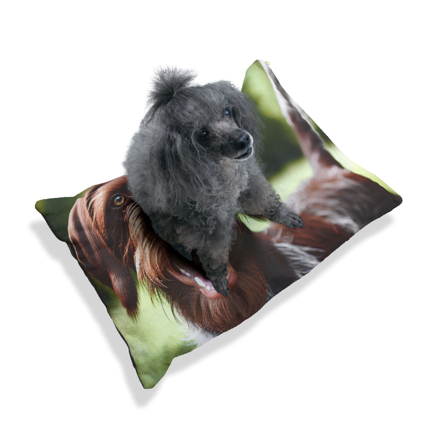Wirehaired Slovakian Pointer Pet Bed