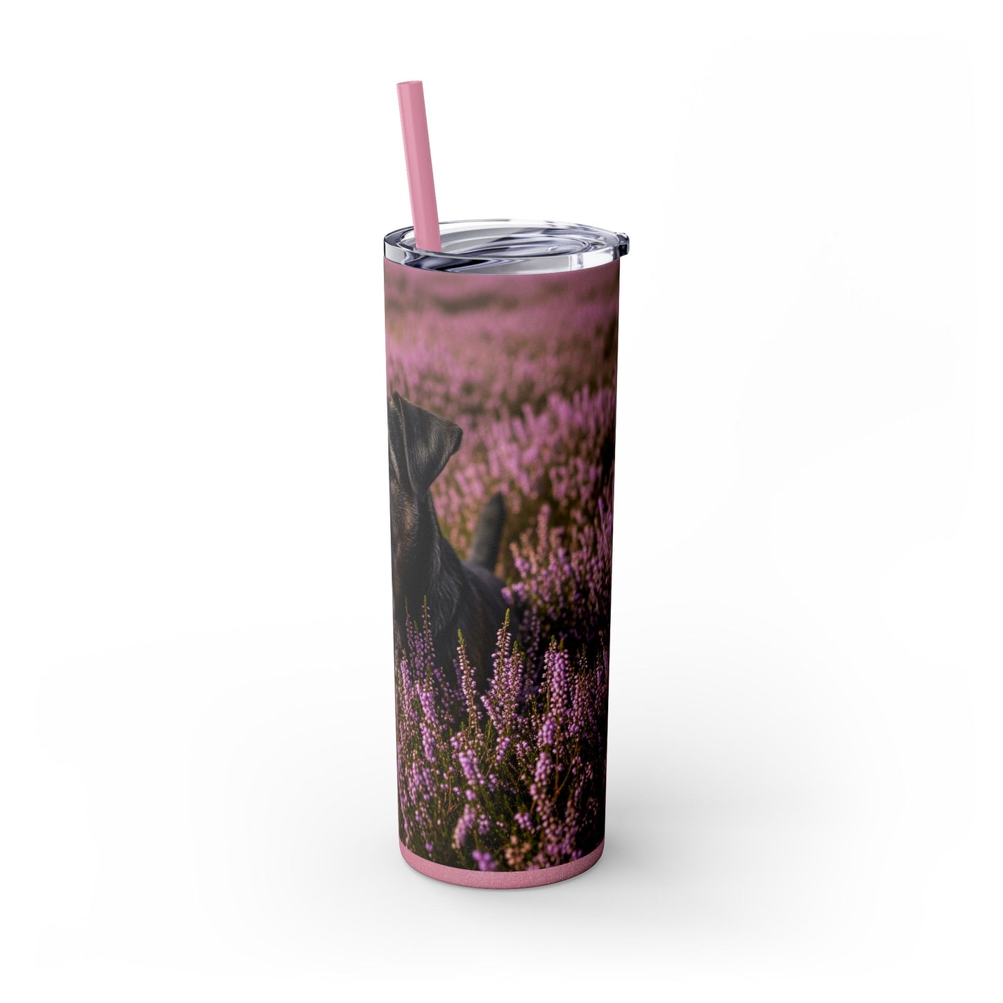 Glen of Imaal Terrier Skinny Tumbler with Straw, 20oz