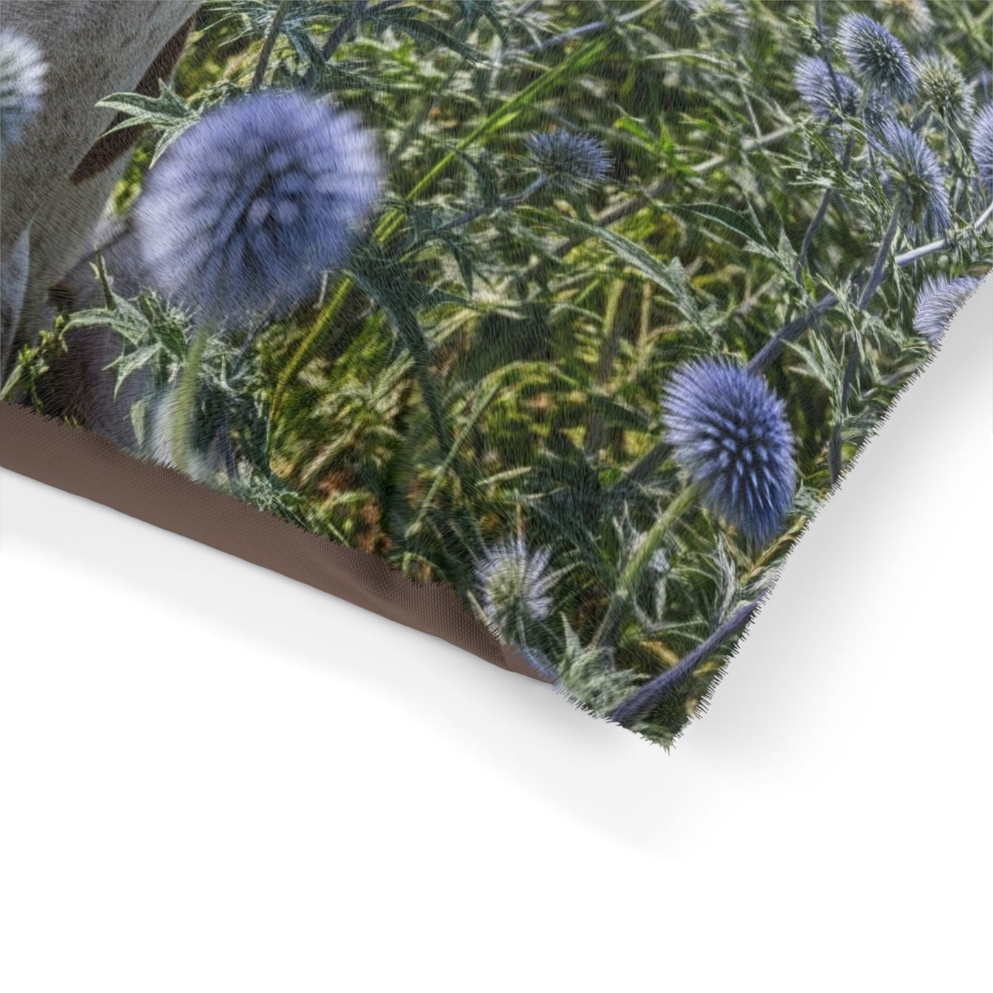 Braque Francais Pyrenean Pet Bed