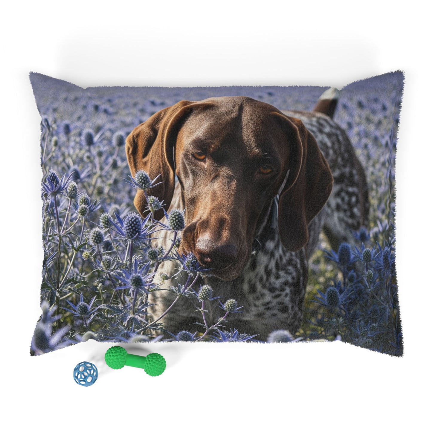German Shorthaired Pointer Pet Bed