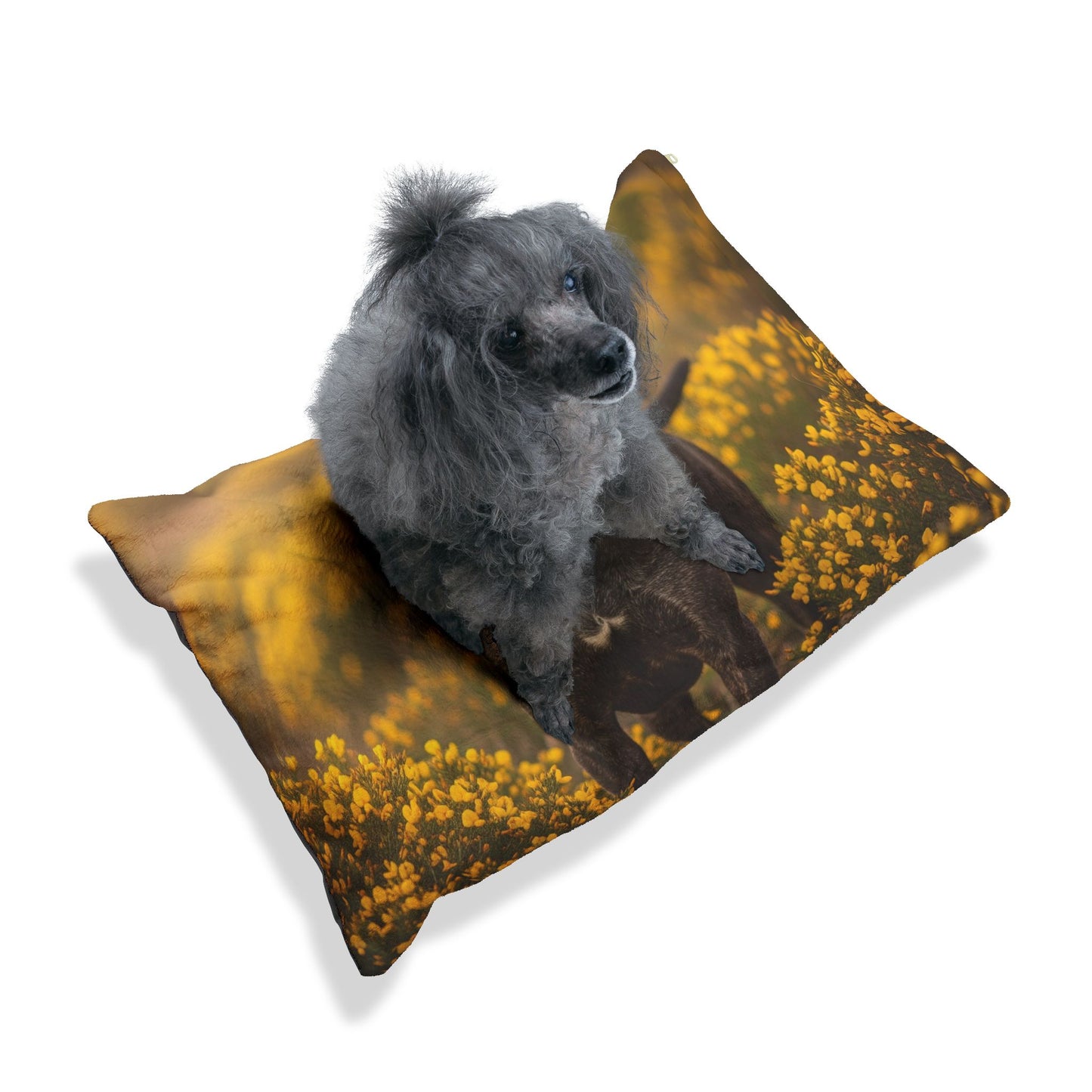 Rafeiro do Alentejo Pet Bed