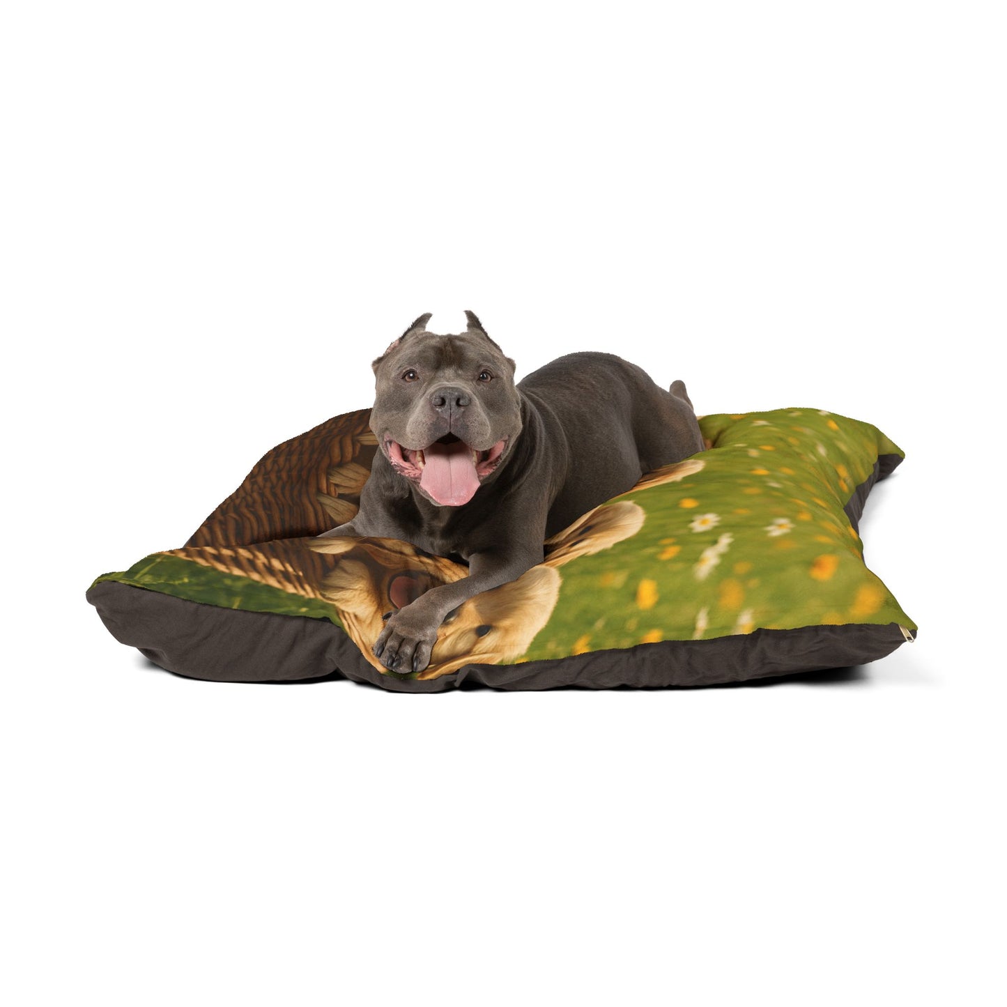 Golden Retriever puppies Pet Bed