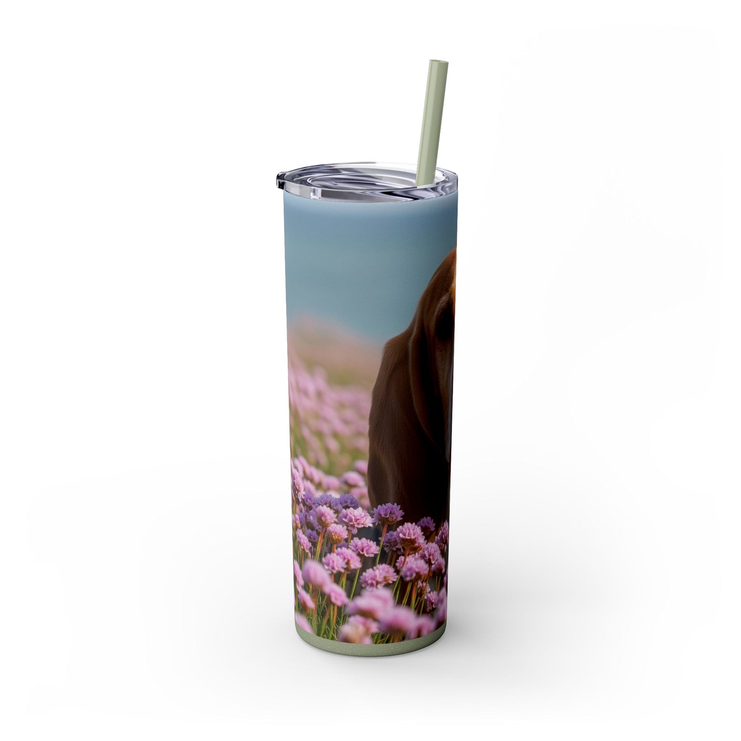 Basset Fauve de Bretagne Skinny Tumbler with Straw, 20oz
