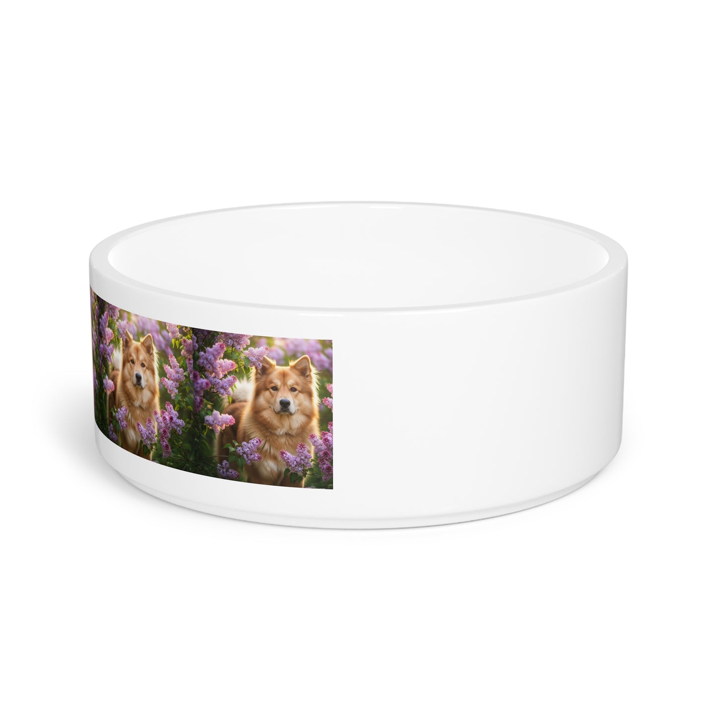 Chinook Pet Bowl