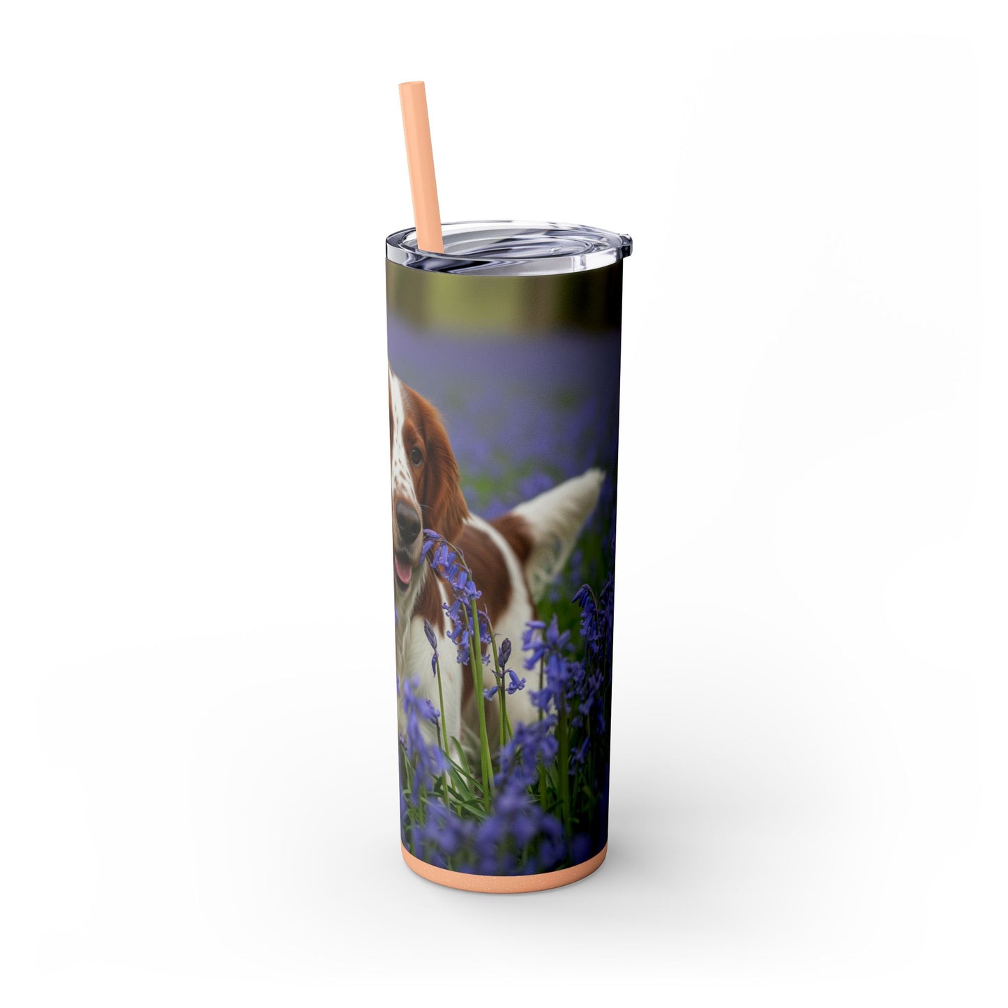 Welsh Springer Spaniel Skinny Tumbler with Straw, 20oz