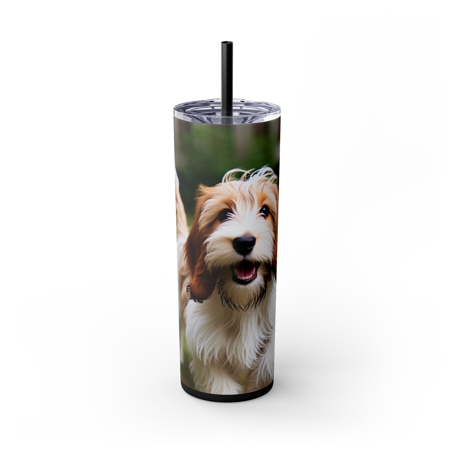 Petit Basset Griffon Vendeen Skinny Tumbler with Straw, 20oz