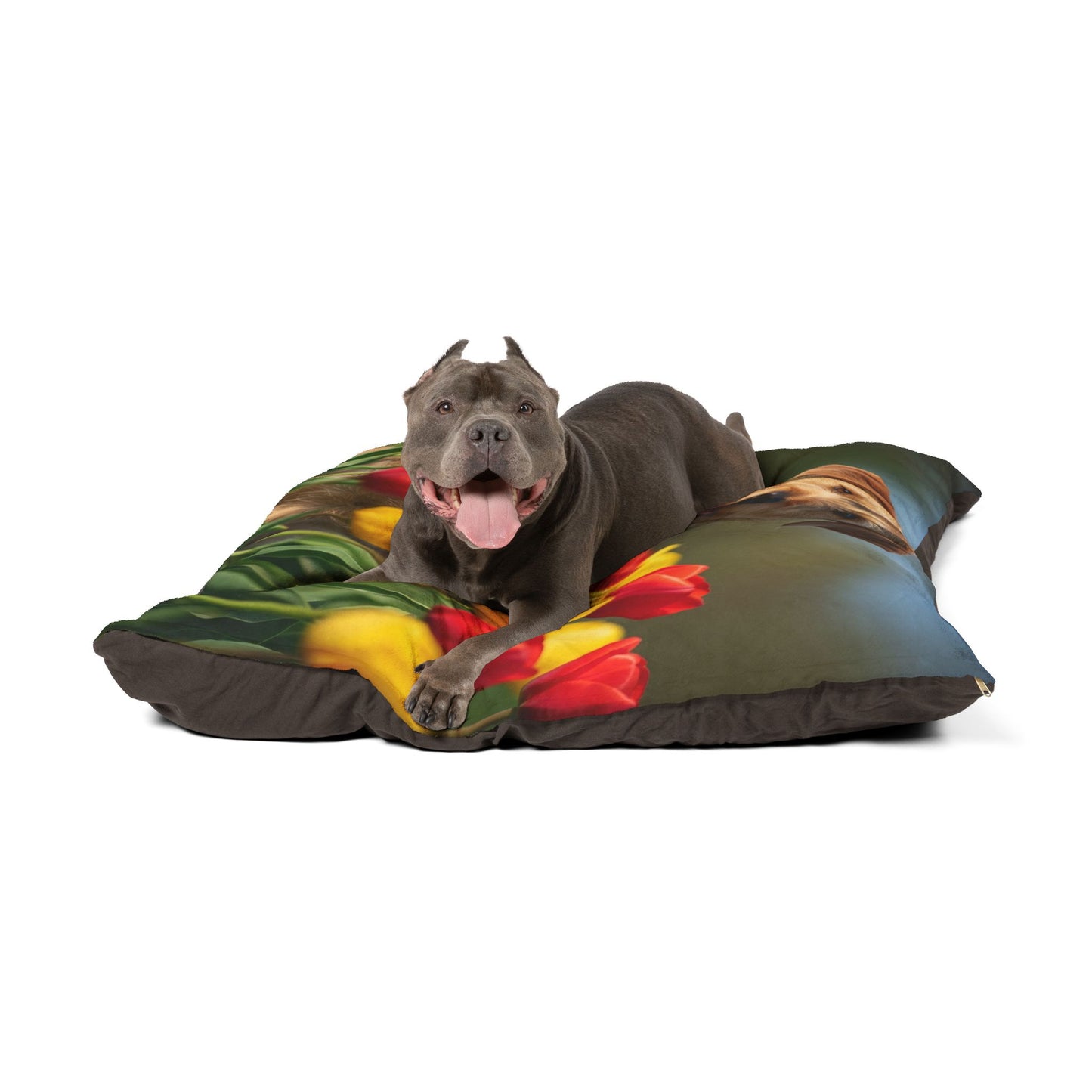 Pumi Pet Bed