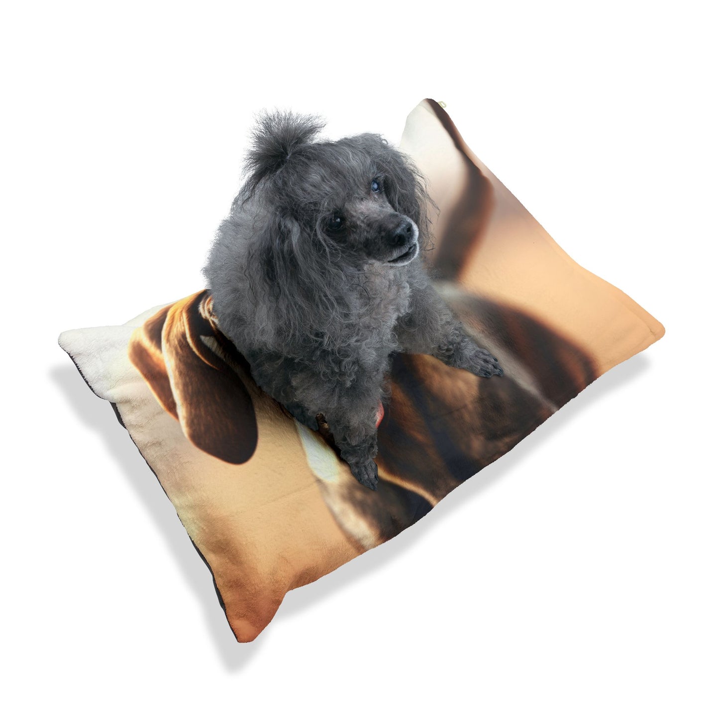 Plott Hound Pet Bed
