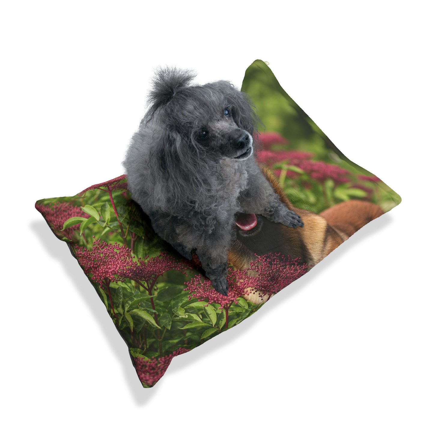 Belgian Shepherd Dog Malinois Pet Bed