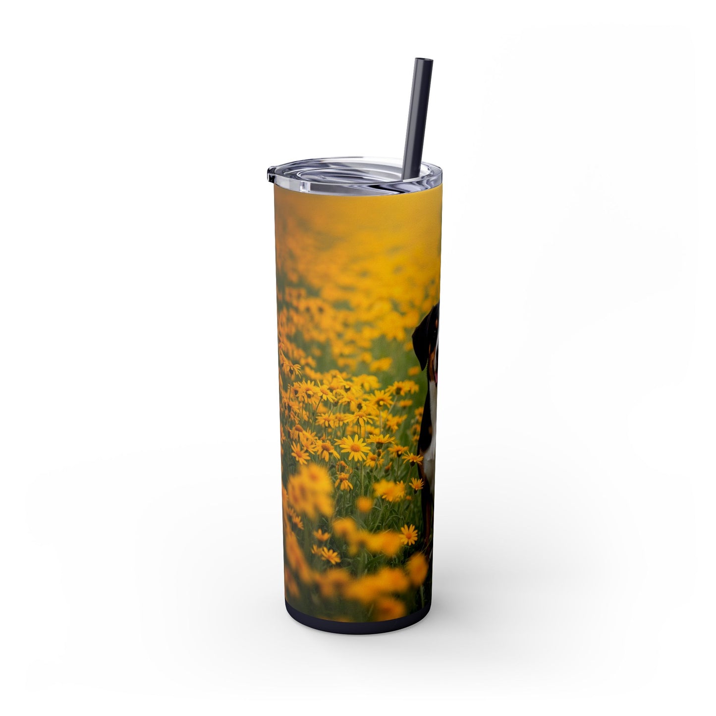 Entlebucher Mountain Dog Skinny Tumbler with Straw, 20oz