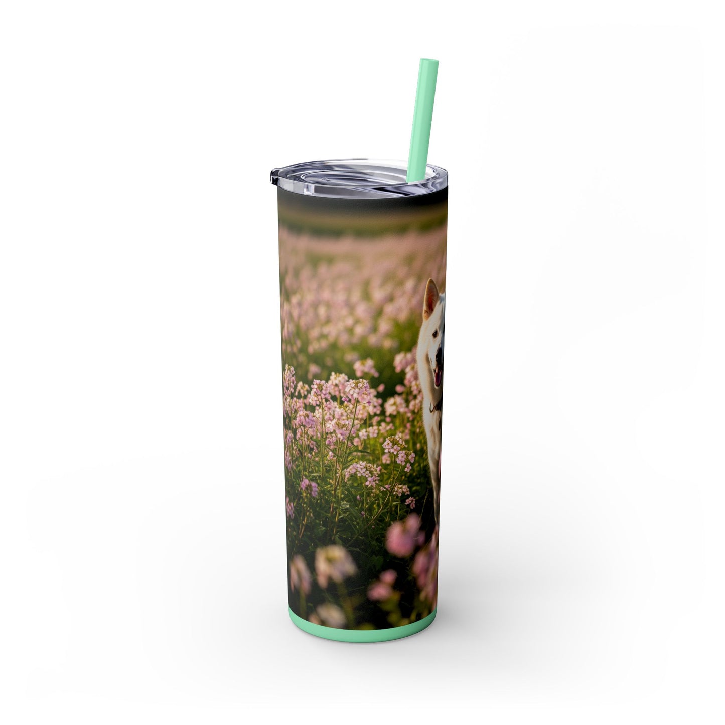 Kishu Ken Tumbler with Straw, 20oz