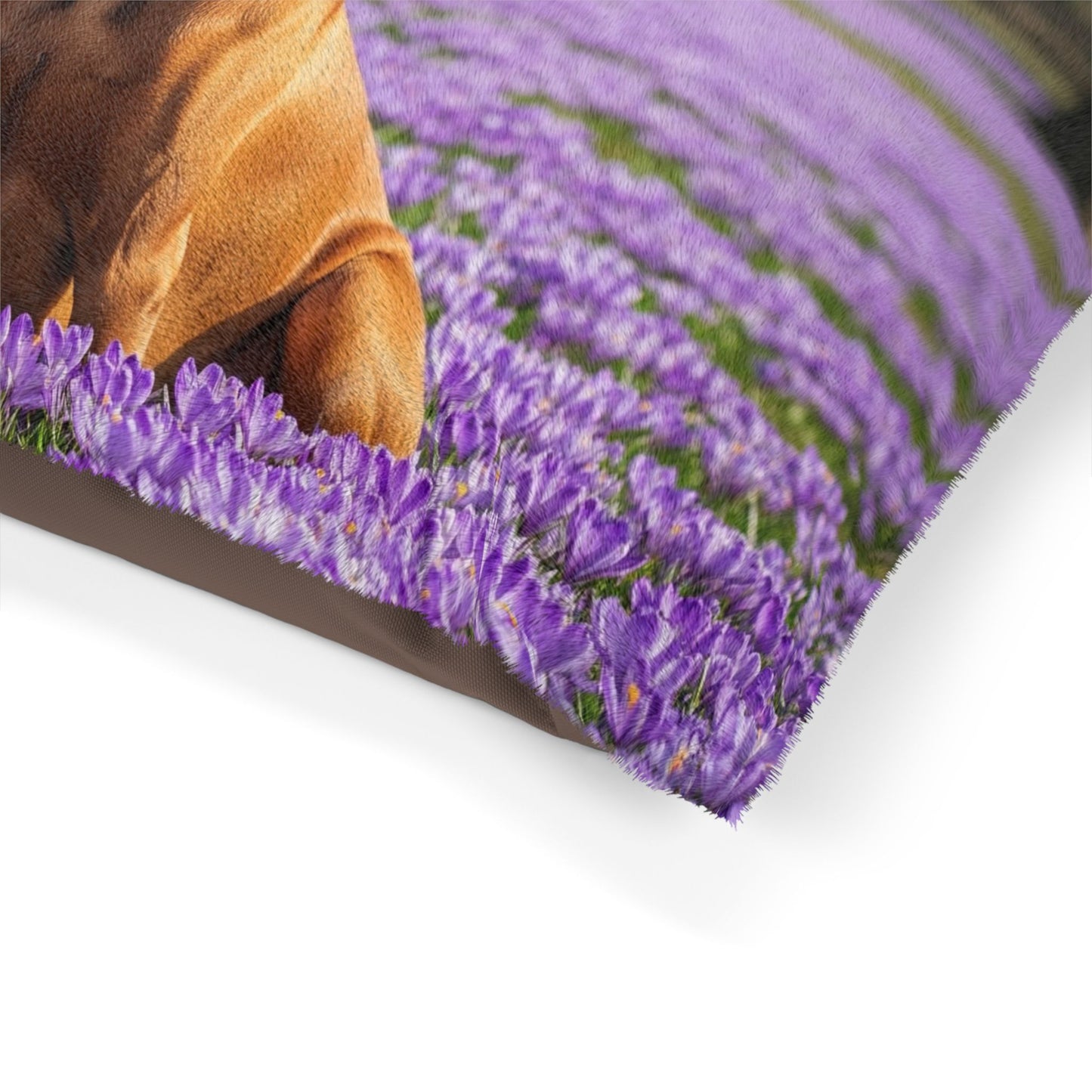 Vizsla Pet Bed