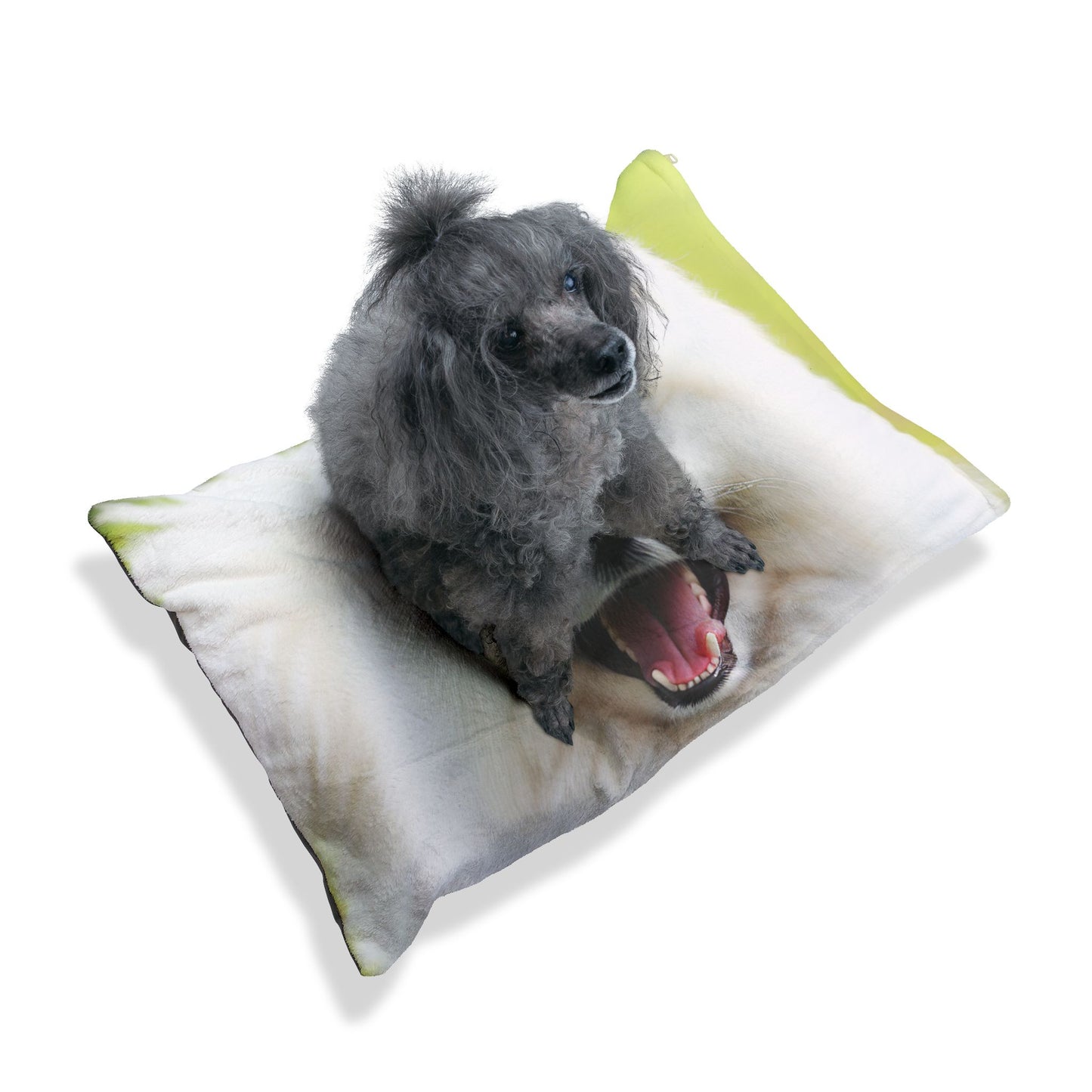 Samoyed Pet Bed