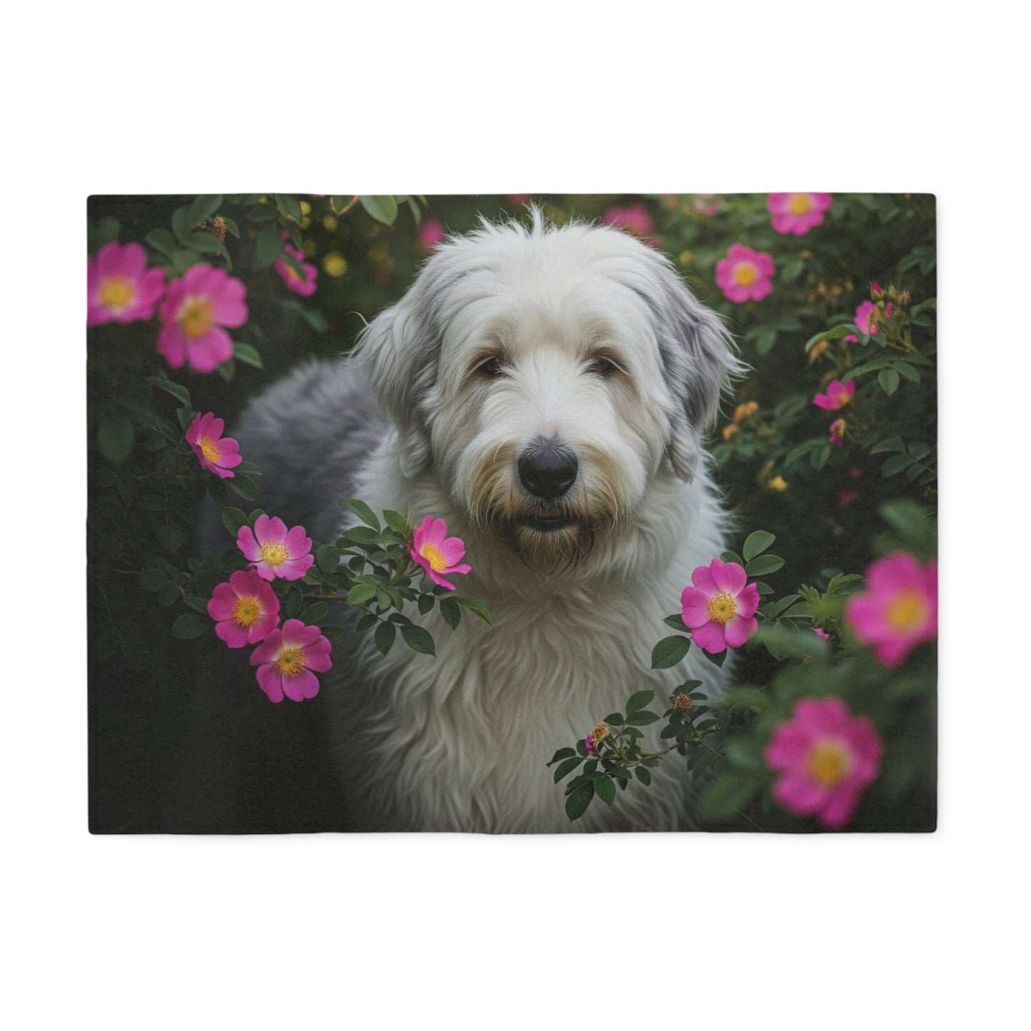 Old English Sheepdog Sweatshirt Blanket