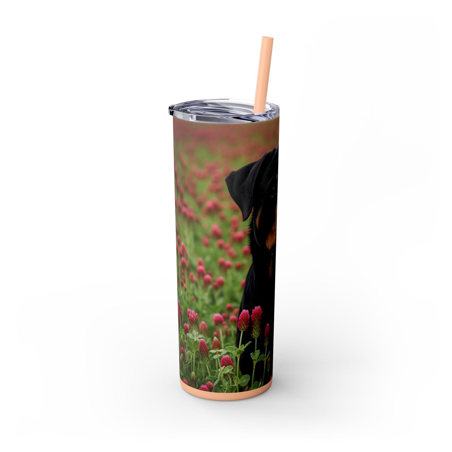 Rottweiler Tumbler with Straw, 20oz