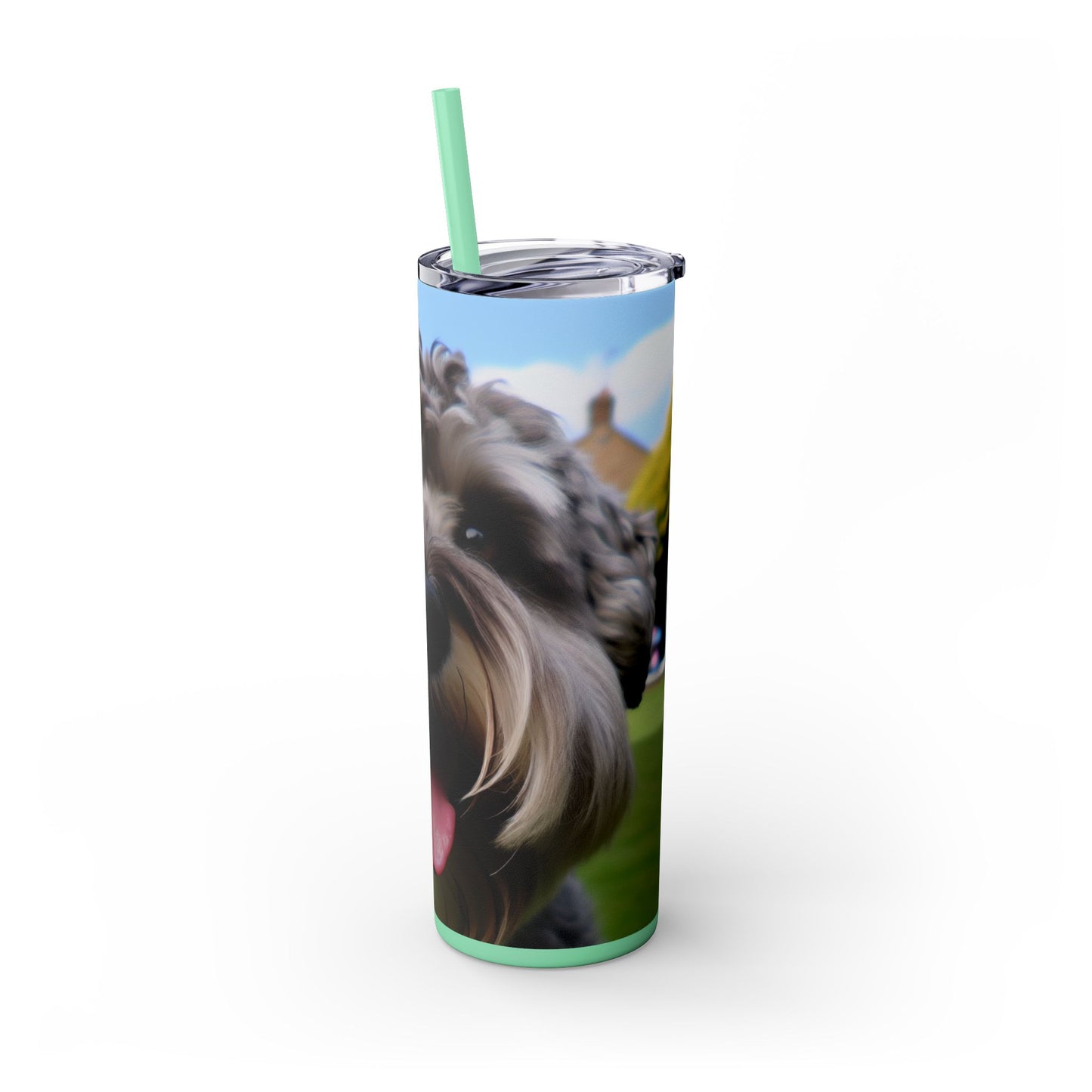 Schnoodle Skinny Tumbler with Straw, 20oz