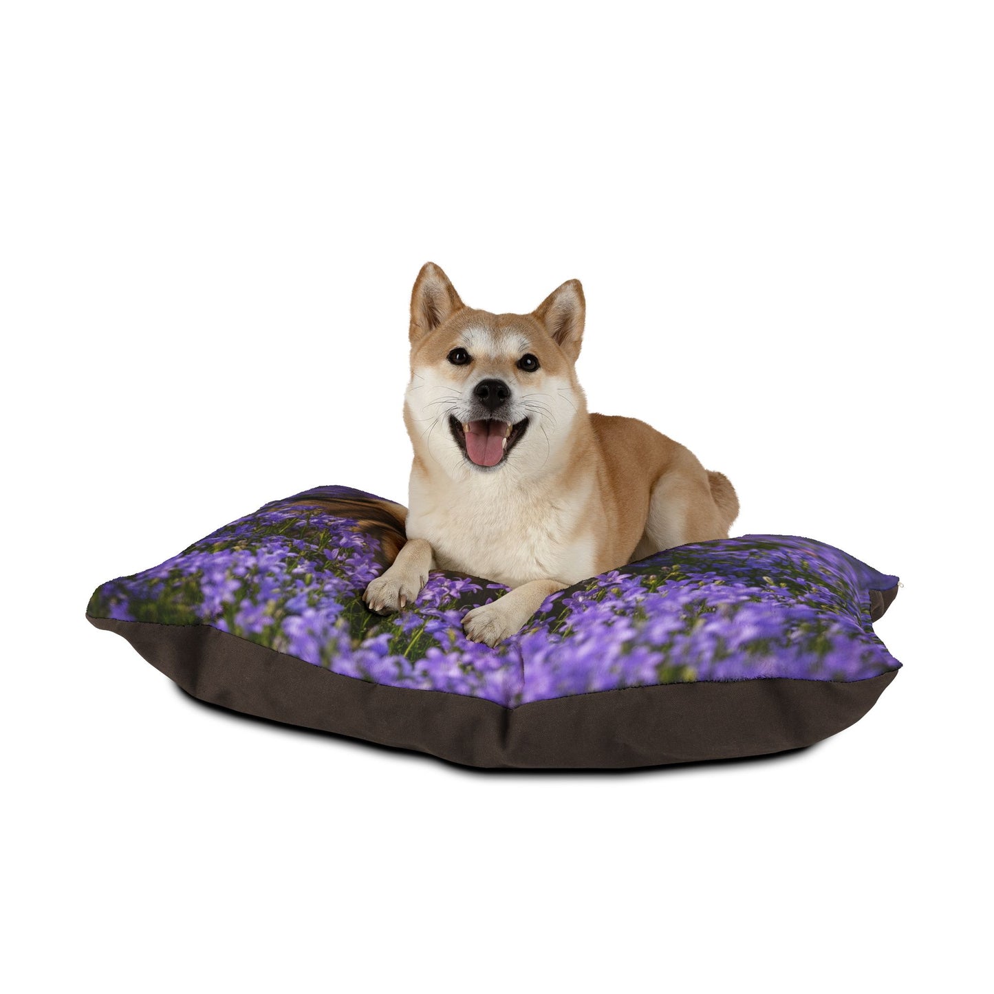 Swedish Vallhund Pet Bed