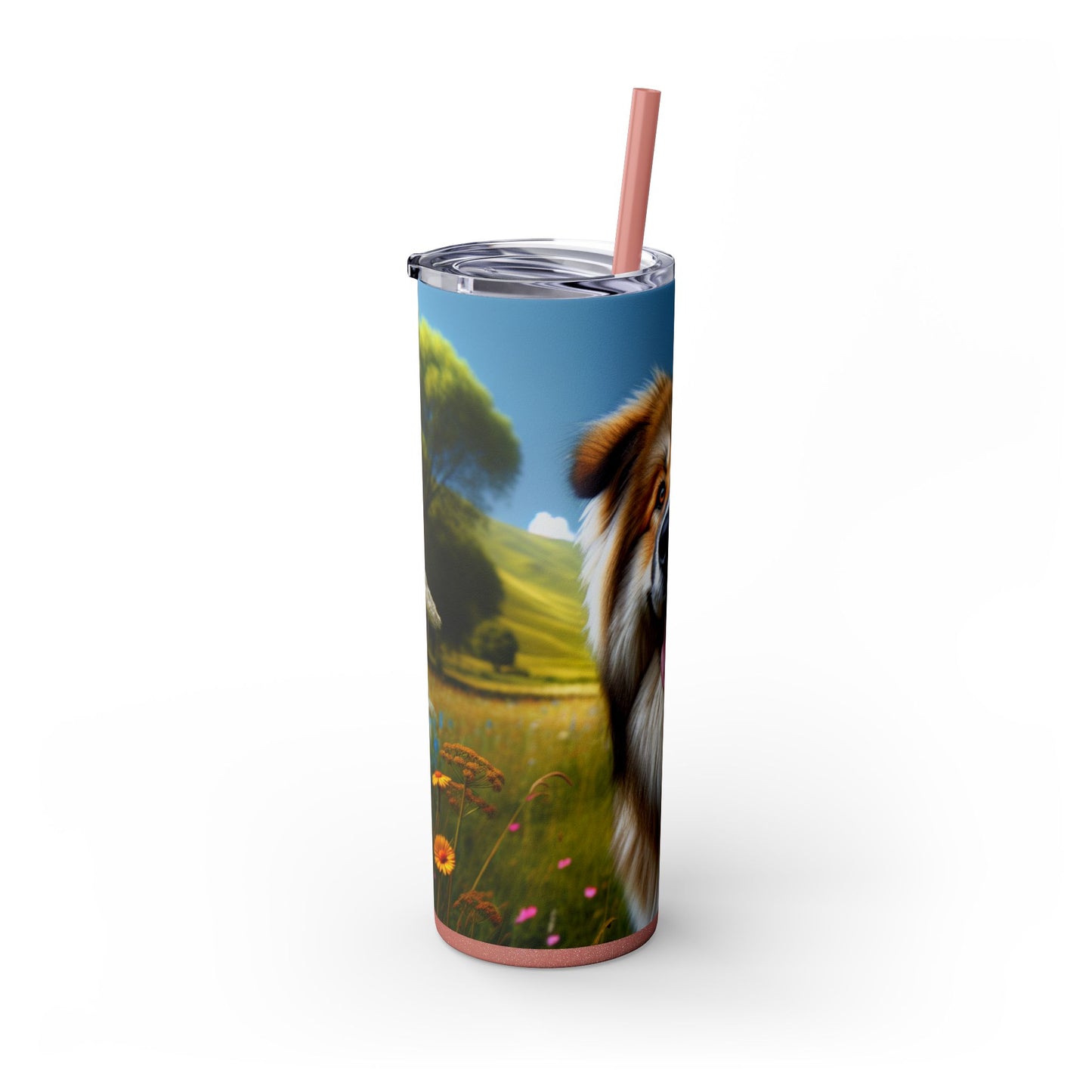 Bakharwal Tumbler with Straw, 20oz