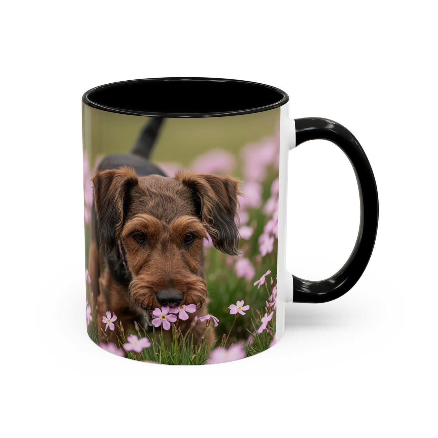 Cesky Terrier Accent Coffee Mug - Perfect Gift for Dog Lovers