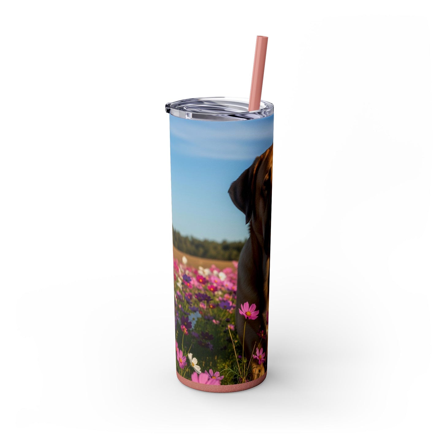 Spanish Mastiff Skinny Tumbler with Straw, 20oz