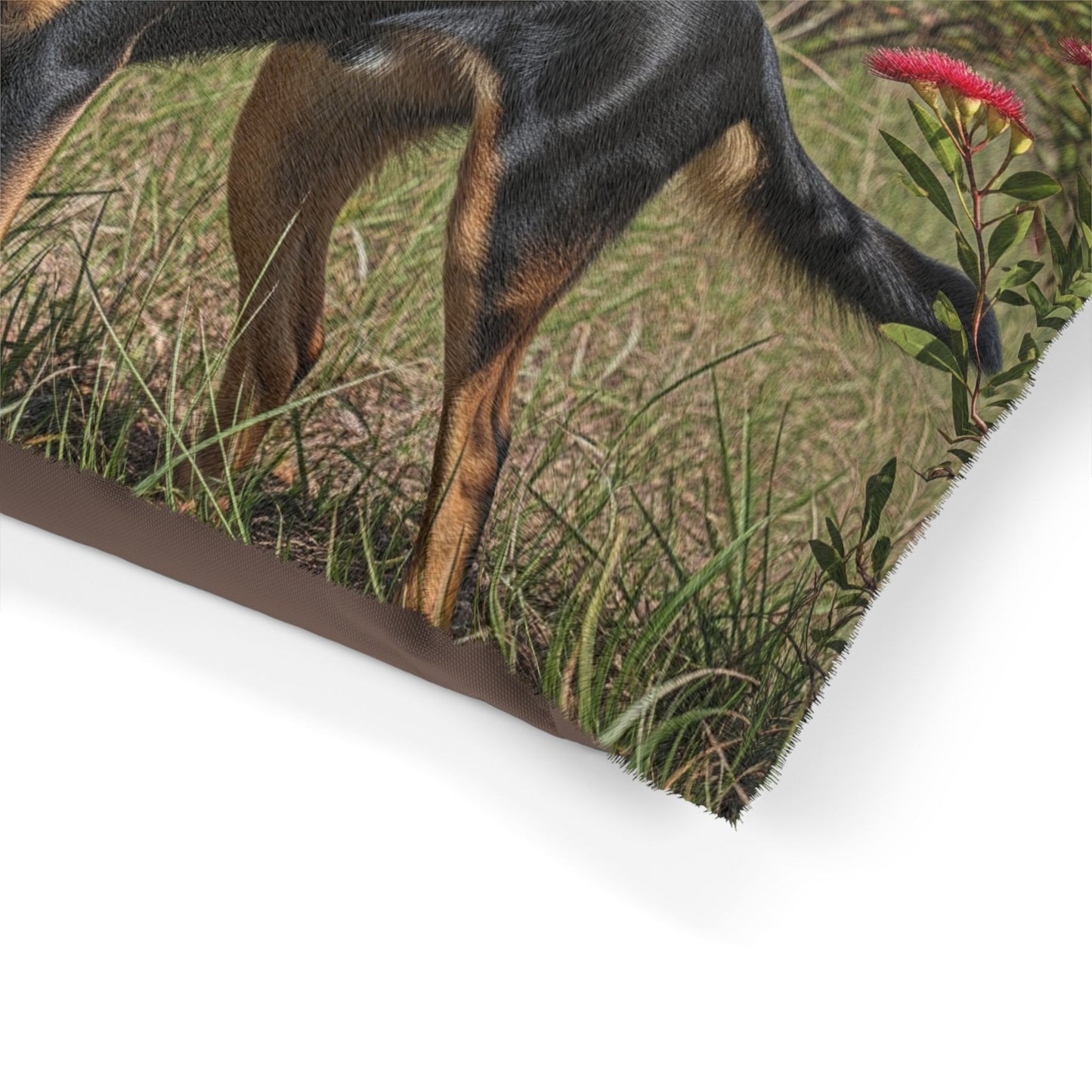 Australian Kelpie Pet Bed