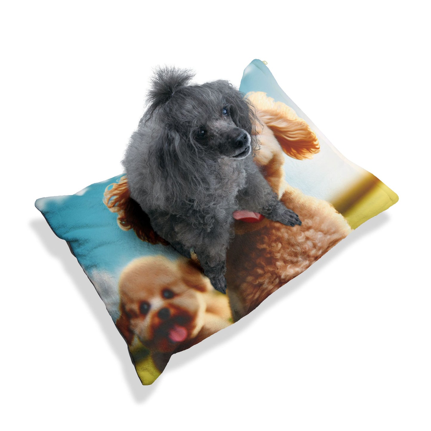 Toy Poodle Pet Bed