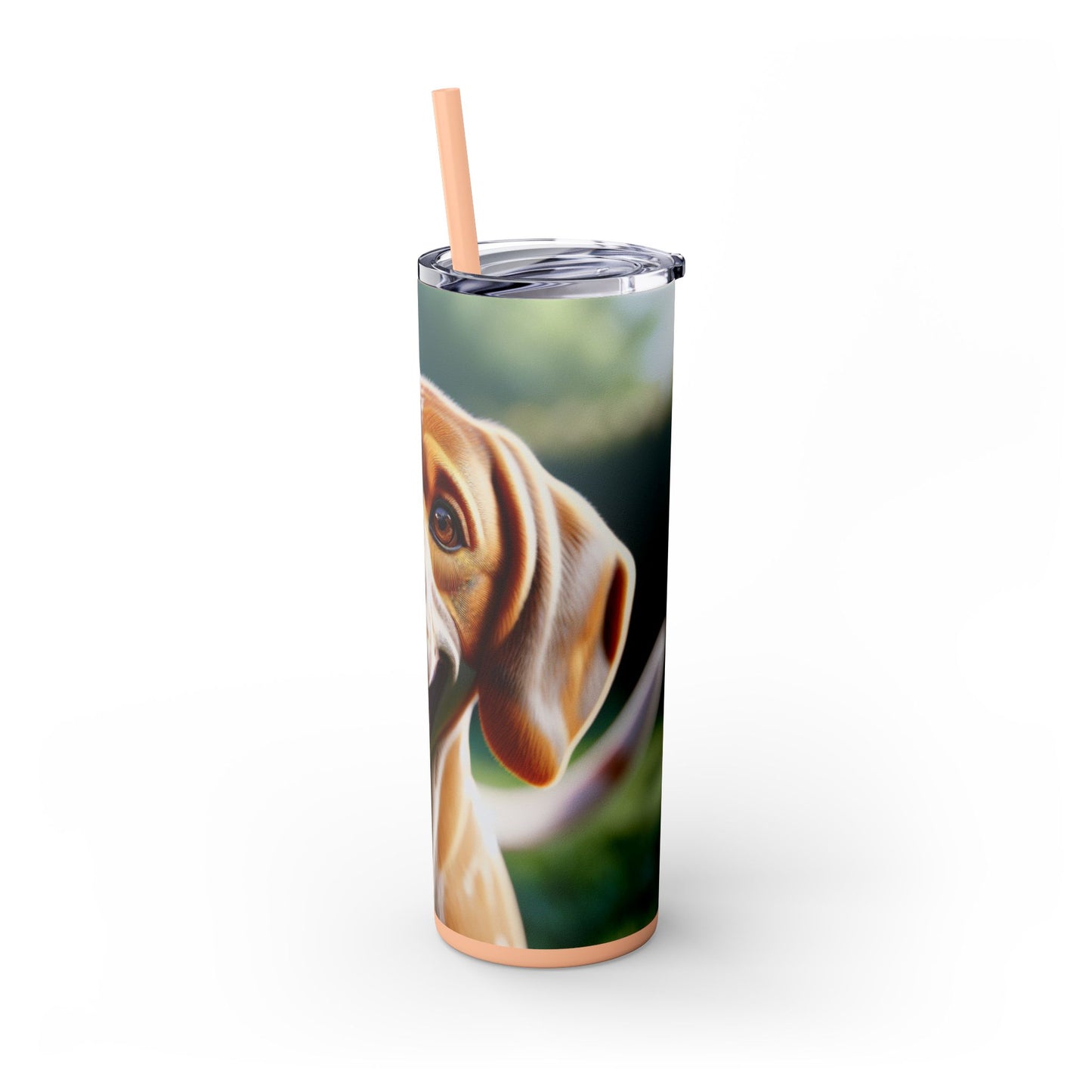 Braque St. Germain Tumbler with Straw, 20oz
